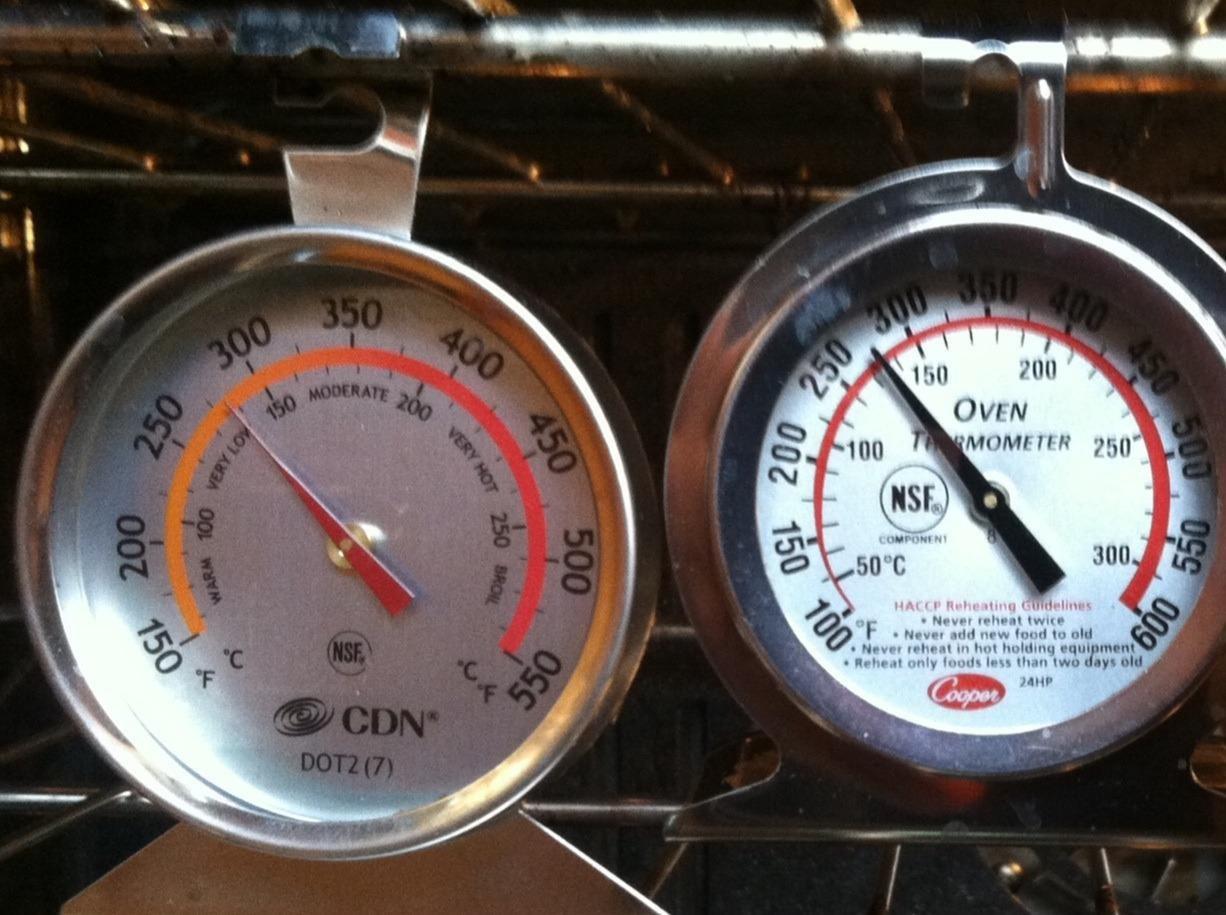 Cdn Dot2 Proaccurate Oven Thermometer customer photo 1