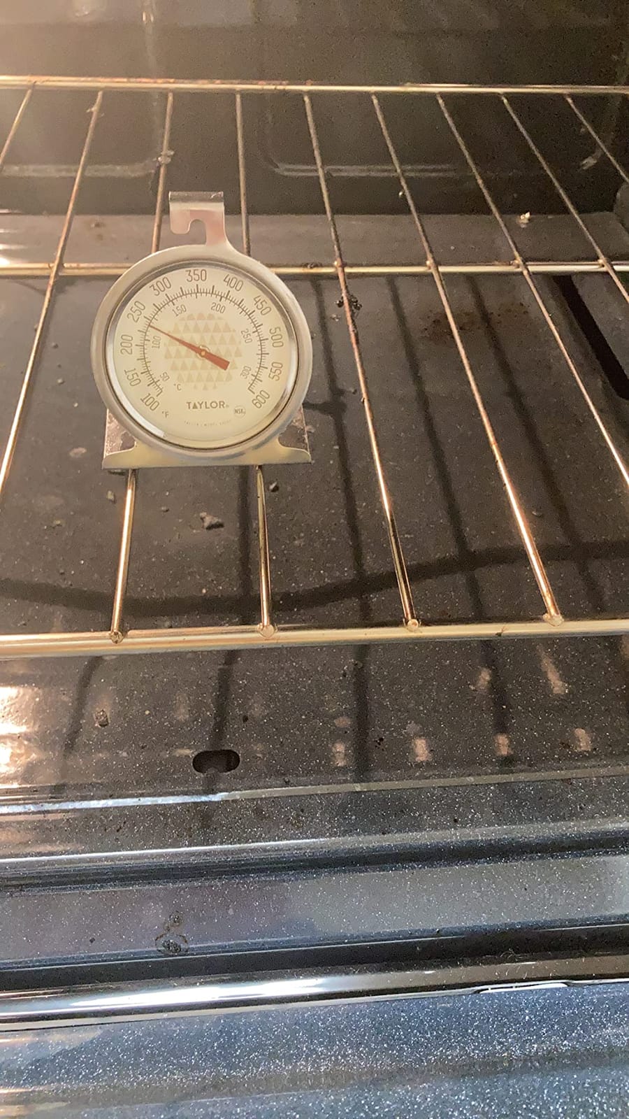 Taylor Large 2.5 Inch Dial Kitchen Cooking Oven Thermometer, Analog customer photo 1