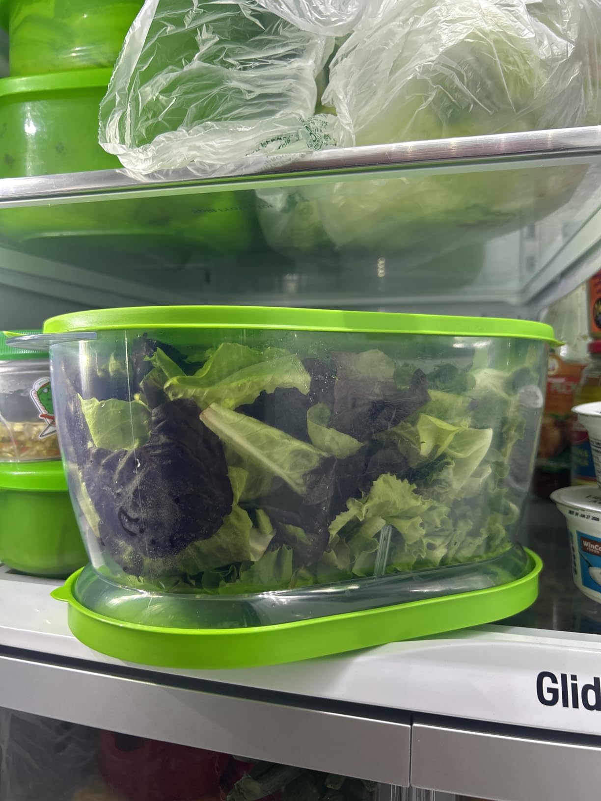 Prep Solutions by Progressive Lettuce Keeper Produce Storage Container, 4.7 Quarts, Green (LKS-06) customer photo 1
