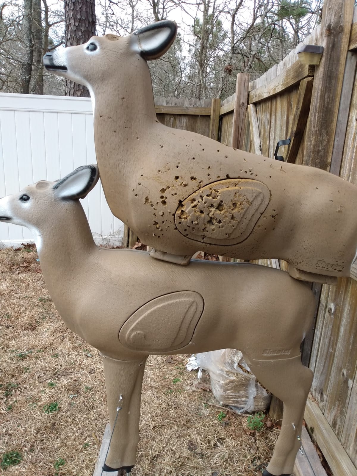 SHOOTER Buck 3D Archery Target, Replaceable Insert for Long Life, Weather-Resistant Construction, High-Density Impact-Response Foam Withstands Field Points, Broadheads, and Expandables customer photo 1