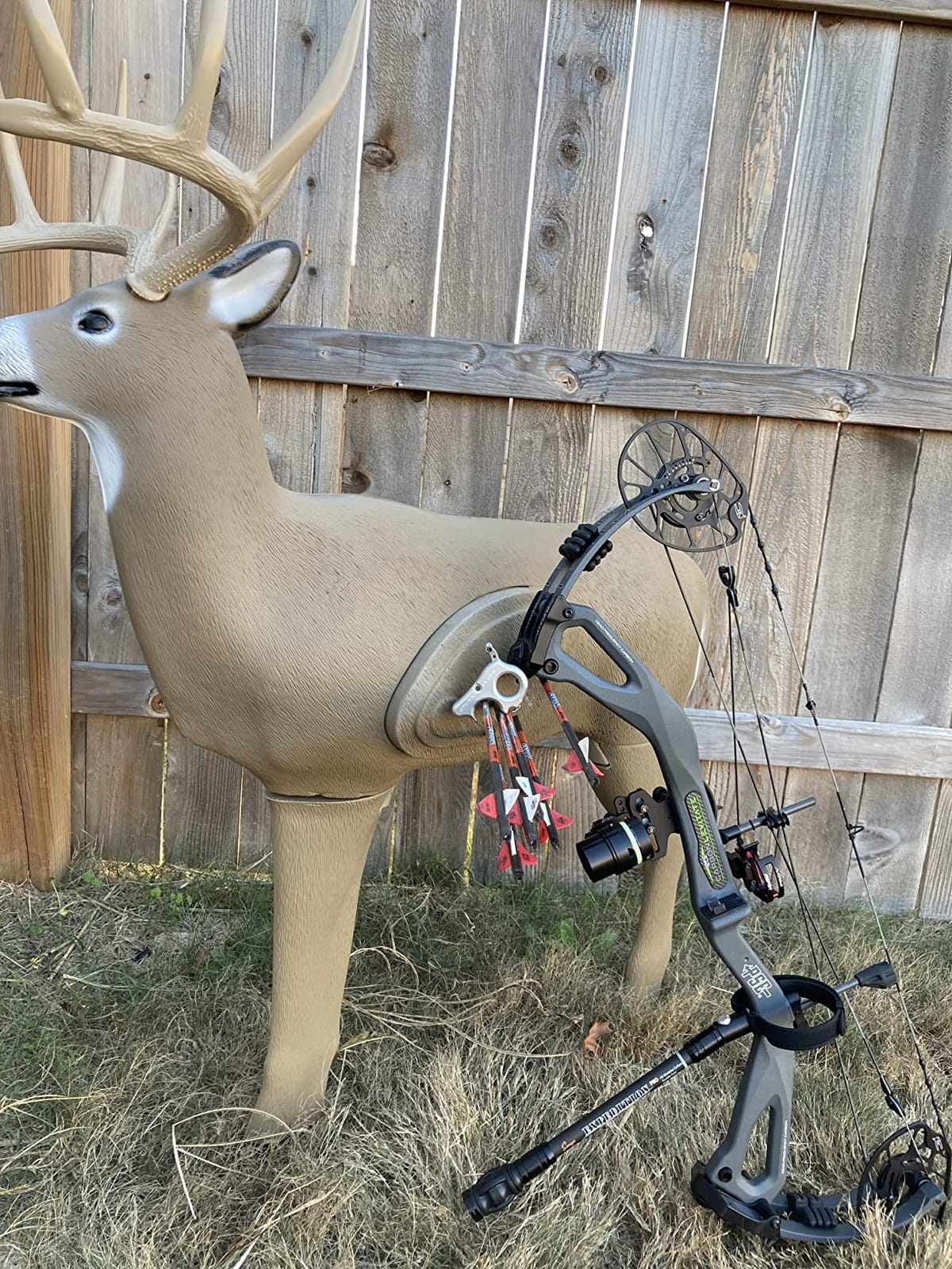 SHOOTER Buck 3D Archery Target, Replaceable Insert for Long Life, Weather-Resistant Construction, High-Density Impact-Response Foam Withstands Field Points, Broadheads, and Expandables customer photo 2