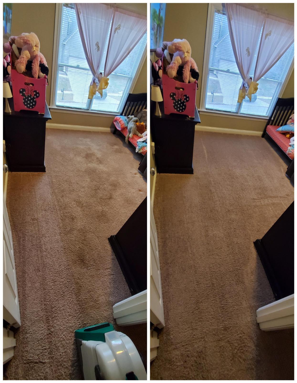 BISSELL Big Green Professional Carpet Cleaner, XL DirtLifter PowerBrush | 9-in. long reach hose; 6-in. tough stain tool; BISSELL PRO MAX Formula included; deep professional clean customer photo 1