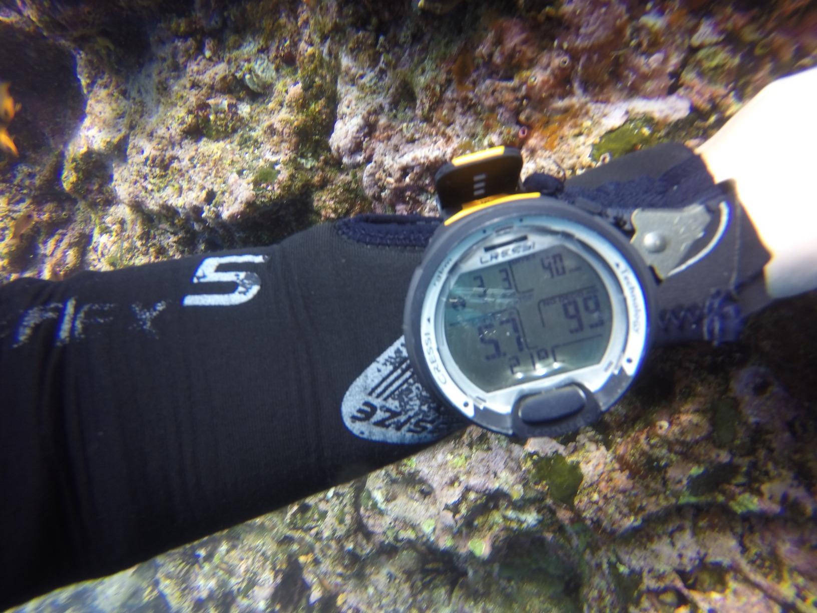 CRESSI Leonardo 2.0 G2 Dive Watch, One-Button Air Nitrox Gauge, White/Black customer photo 1