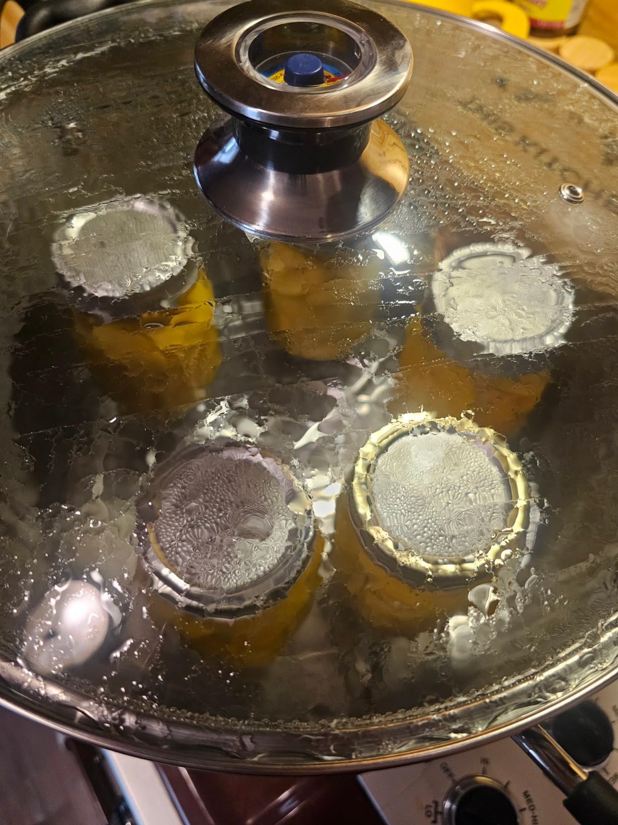 Harvest Stainless Steel 20 Qt Canning Pot with Rack | Water Bath or Steam Canning | Works on All Stovetops Including Induction, Glass, Gas (Stainless Steel Canner + Tools) (Stainless Steel Canner) customer photo 1