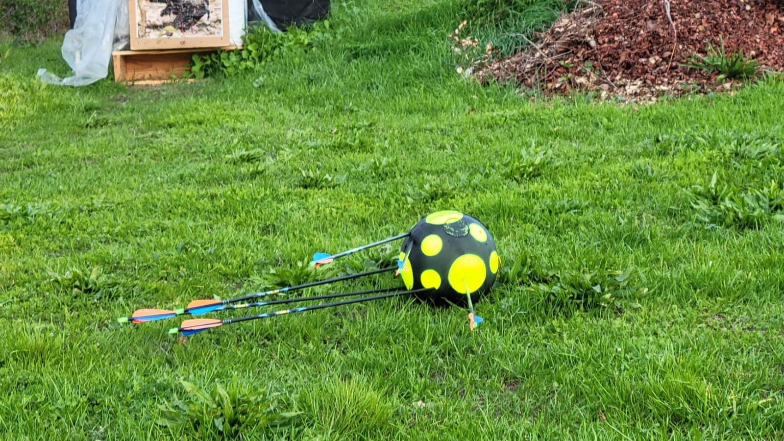 Rinehart Field Target RFT 9