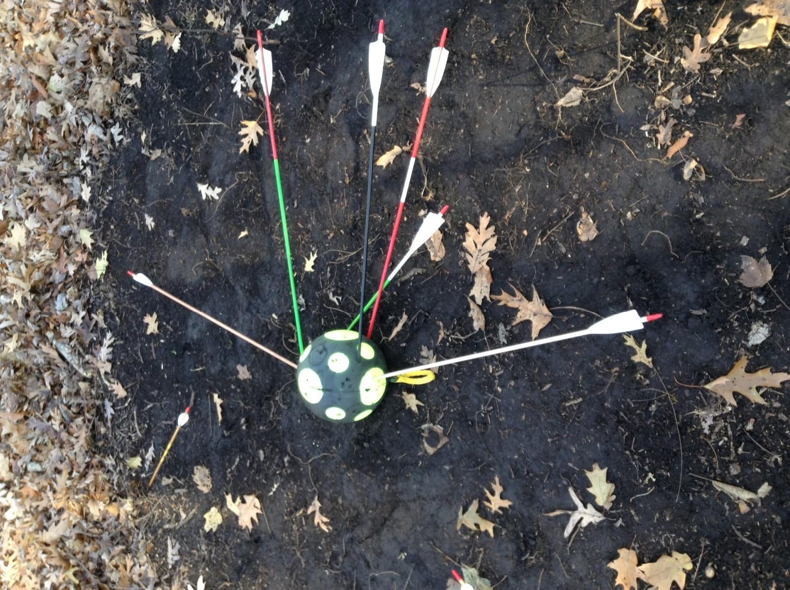 Rinehart Field Target RFT 9