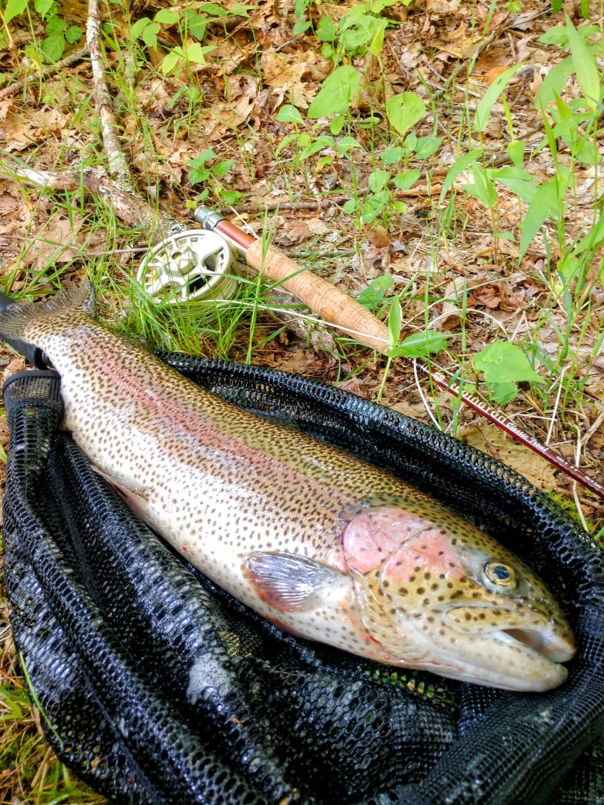 Redington Classic Trout Freshwater Fly Fishing Rod - Moderate Action 4-Piece Fly Rod - Case Included customer photo 2