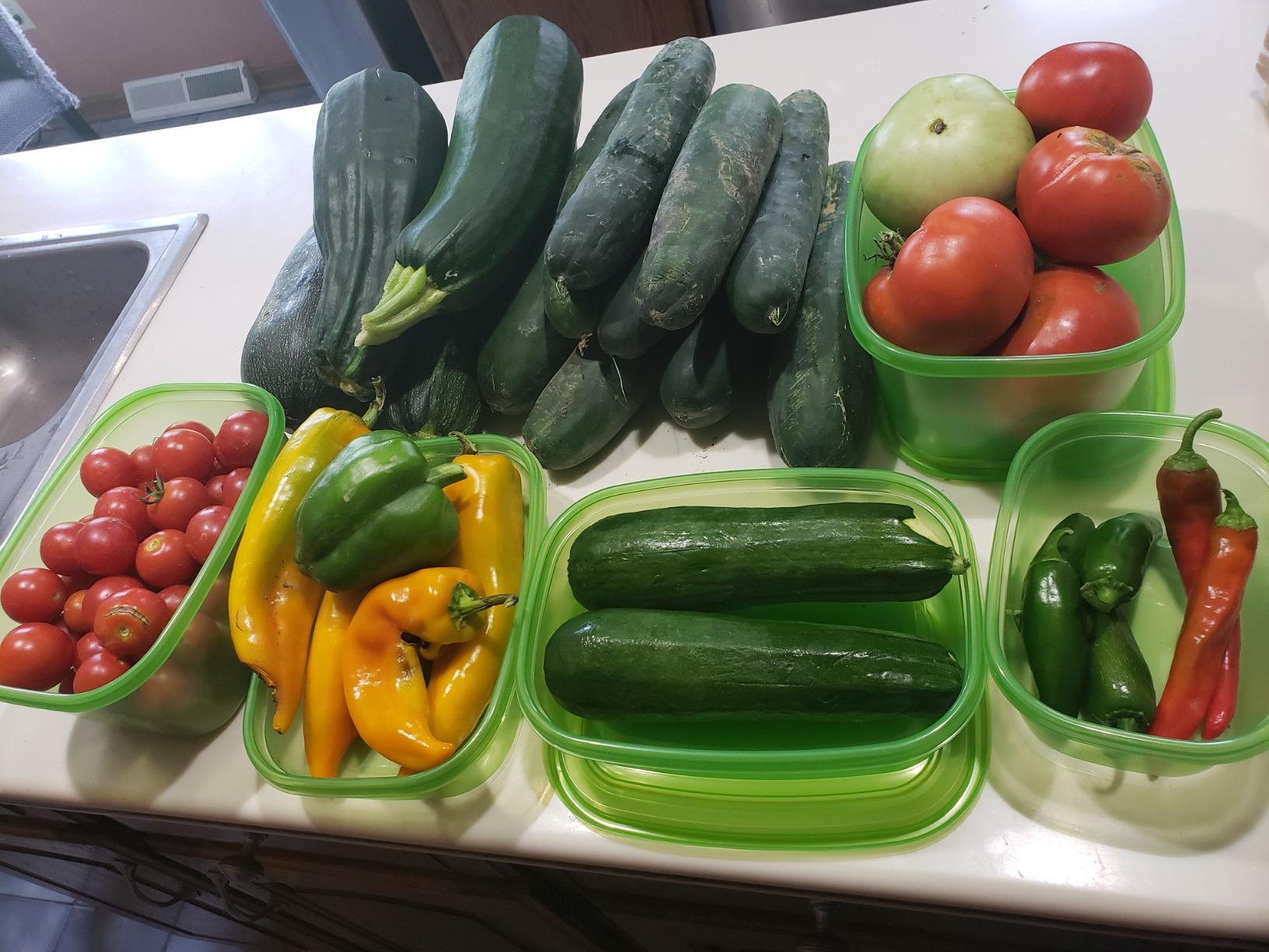 Debbie Meyer UltraLite GreenBox, Reusable Food Storage Containers with Lids customer photo 2
