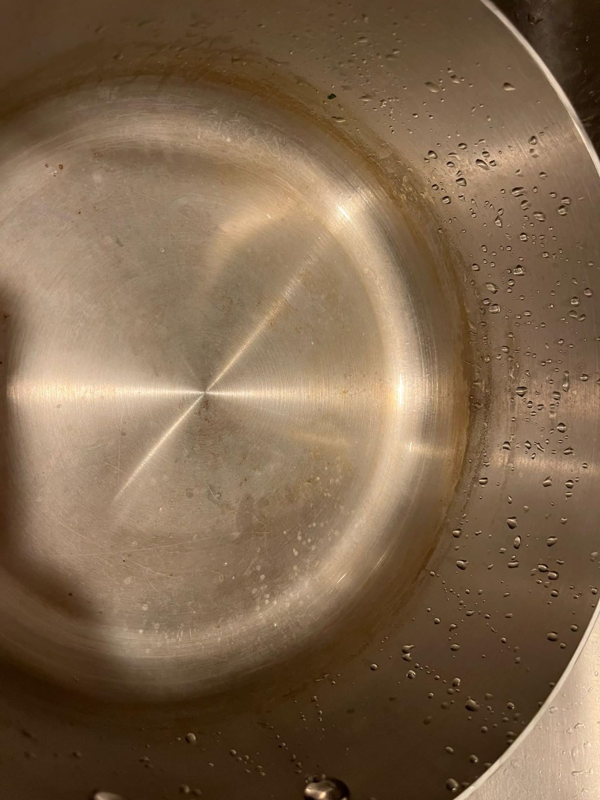 Tramontina Signature Tri-Ply Clad Stainless Steel 3-Quart Sauce Pan customer photo 1