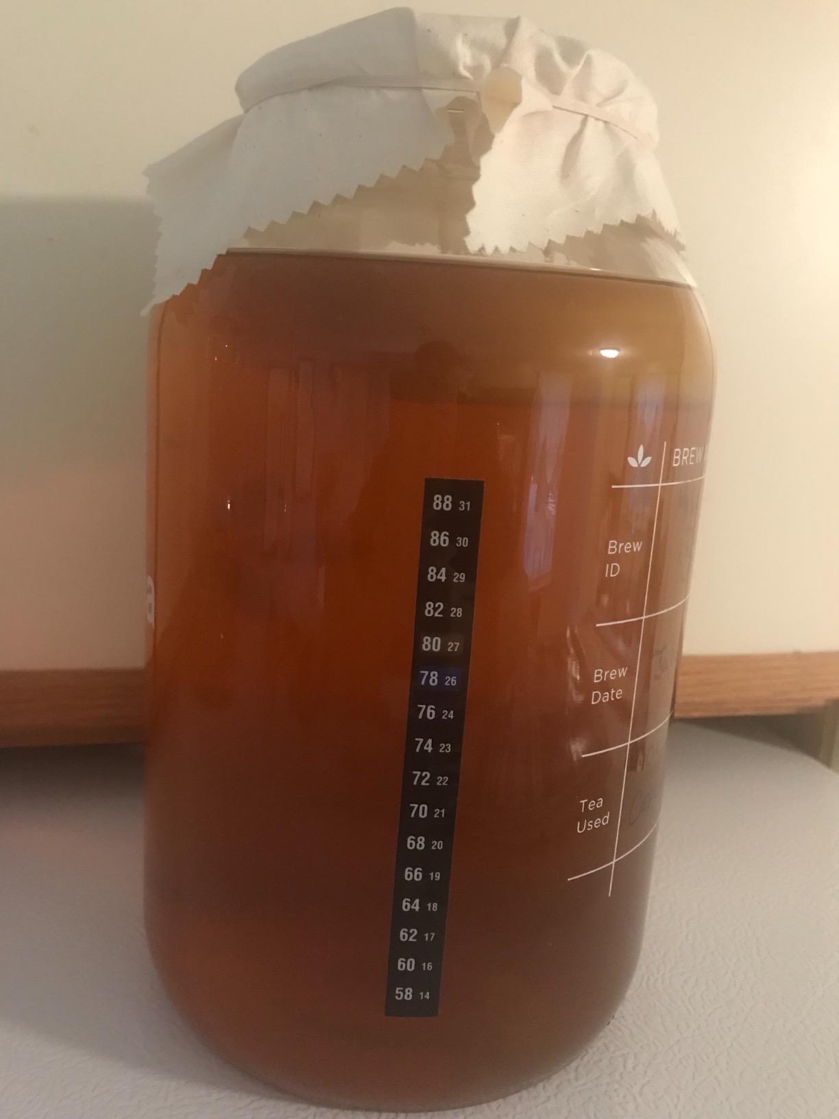 The Kombucha Shop Organic Kombucha Starter Kit - 1 Gallon Brewing Kit Includes All The Essentials Required for Brewing Kombucha At Home customer photo 1