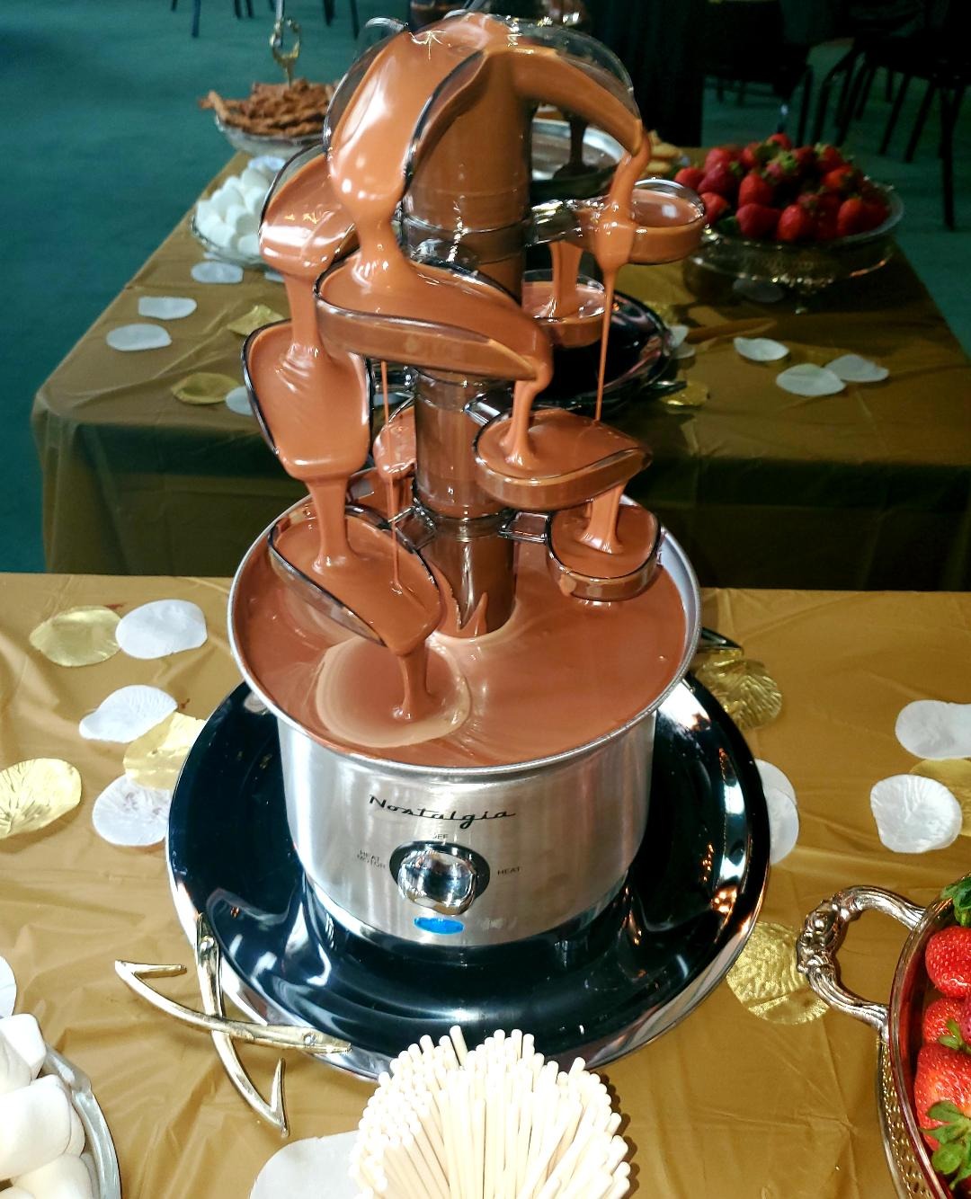 Nostalgia 4 Tier Electric Chocolate Fondue Fountain Machine for Parties - Melts Cheese, Queso, Candy, and Liqueur - Dip Strawberries, Apple Wedges, Vegetables, and More - 32-Ounce - Stainless Steel customer photo 2
