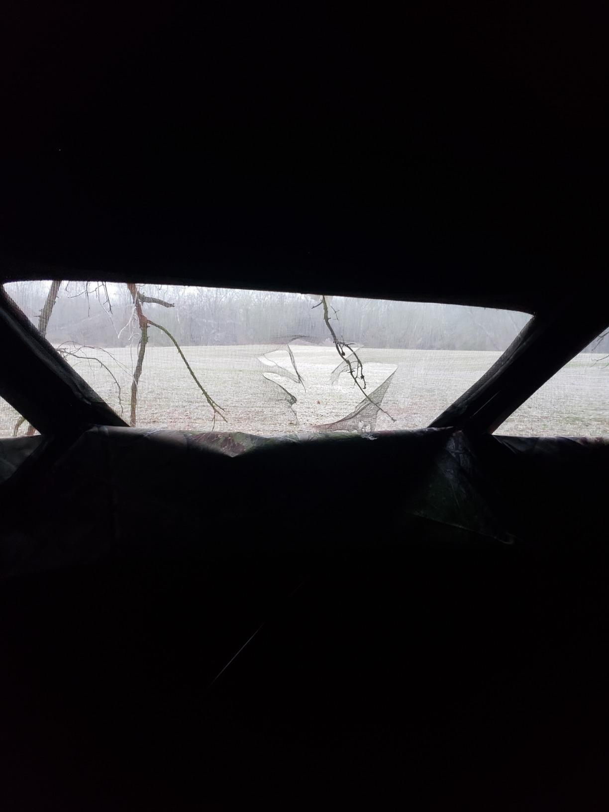 Barronett Blinds RA200BW Radar Pop Up Portable Blind, Bloodtrail Backwoods Camo, 67” x 71” x 71” customer photo 2