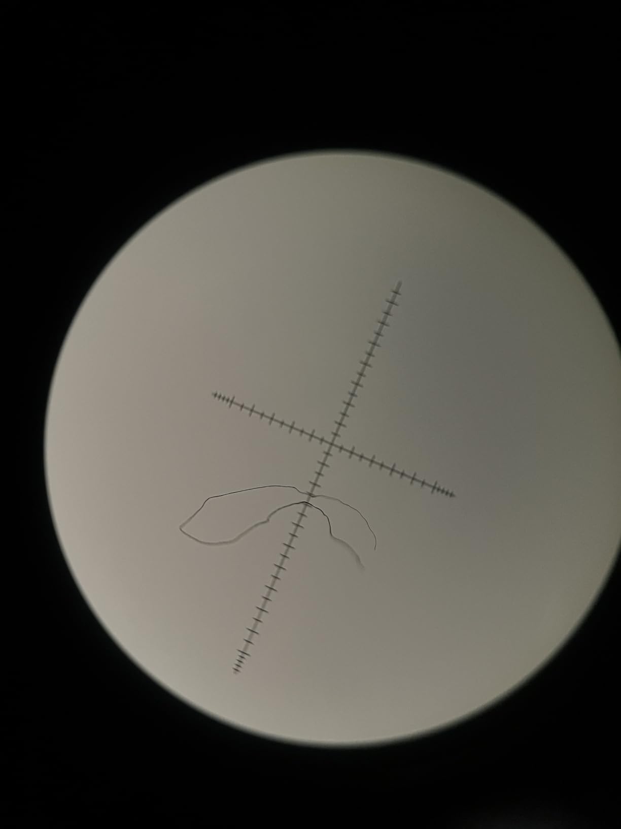 Bushnell 781545ED Legend T-Series Flp Spotting Scope with Mil-Hash Reticle customer photo 1