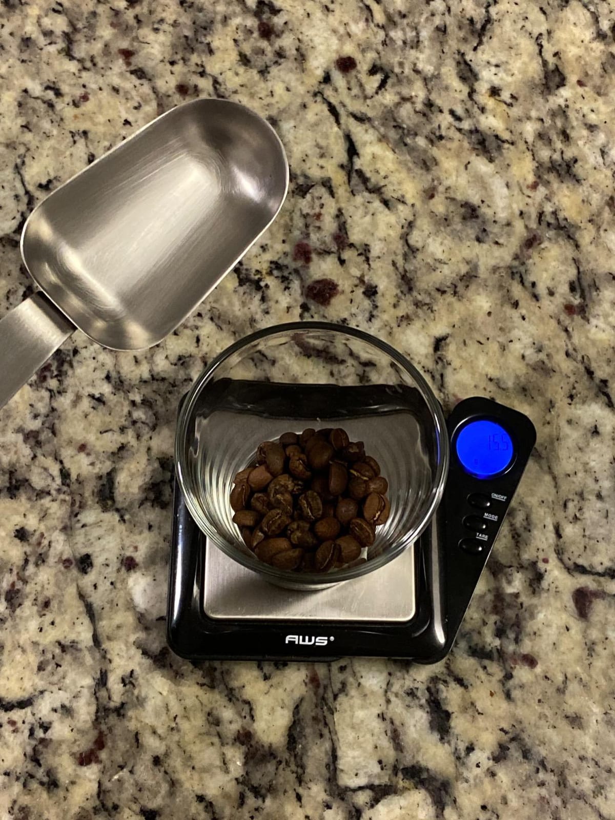 Coffee Gator Coffee Canister, 22oz Airtight Stainless Steel Container customer photo 1
