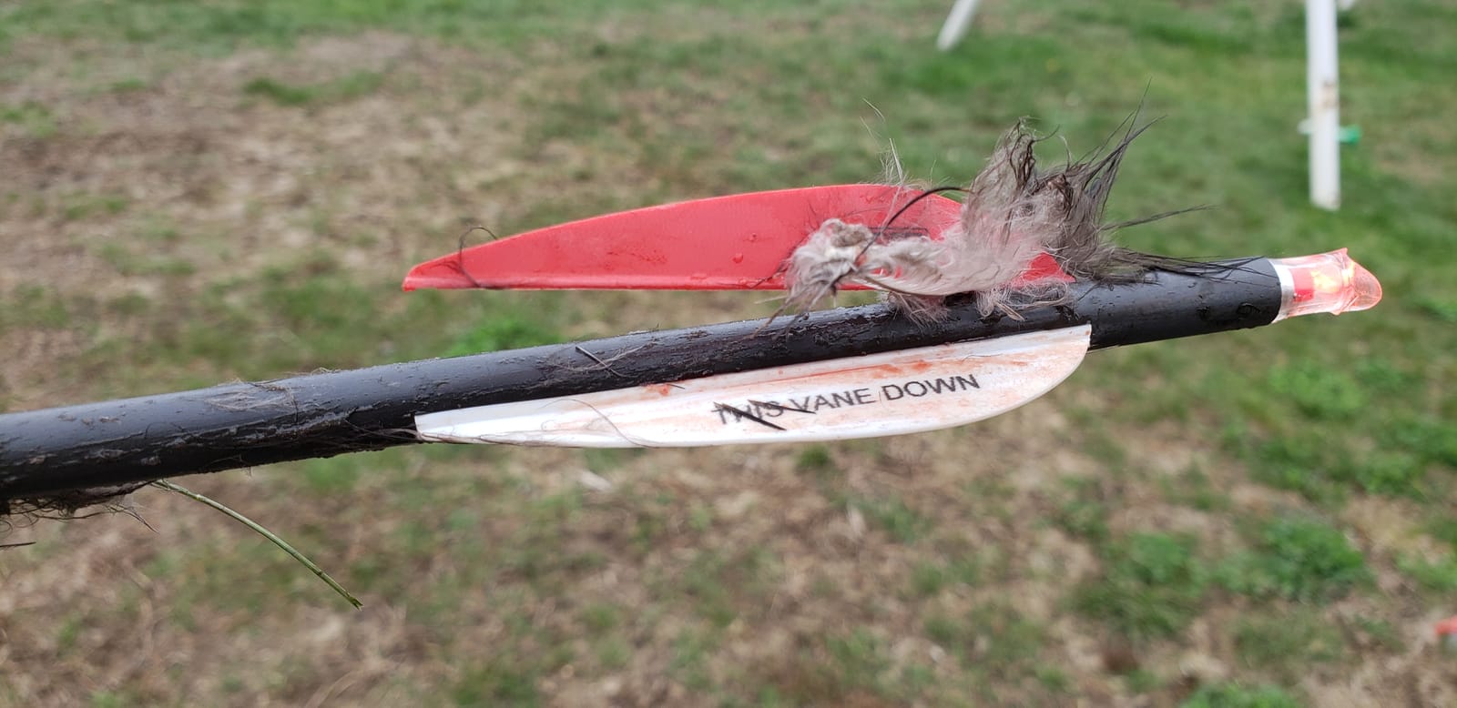 Bloodsport Crossbow Bolts customer photo 1