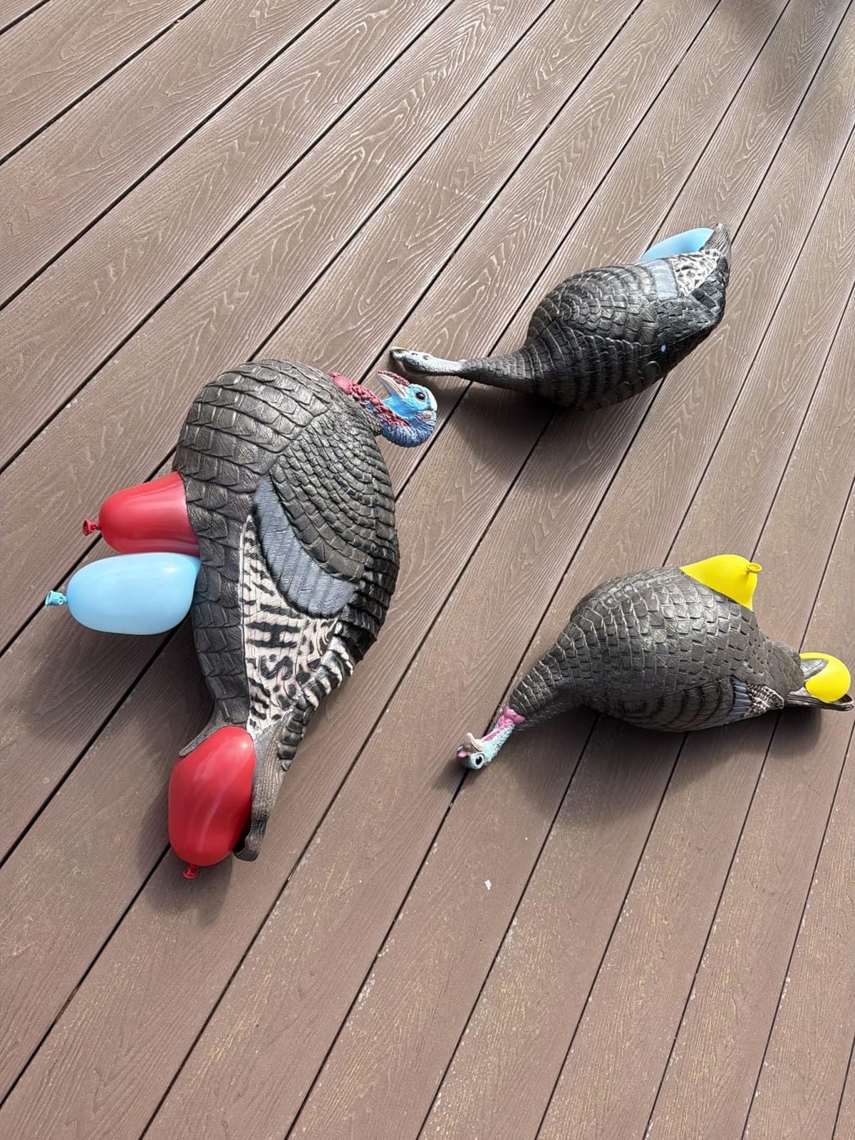 HUNTERS SPECIALTIES HS Strut Lite Flock Jake & Feeding Hen & Upright Hen Turkey Foldable Hollow Relaxed Body Realistic3-Pack Combo Set Decoys customer photo 2
