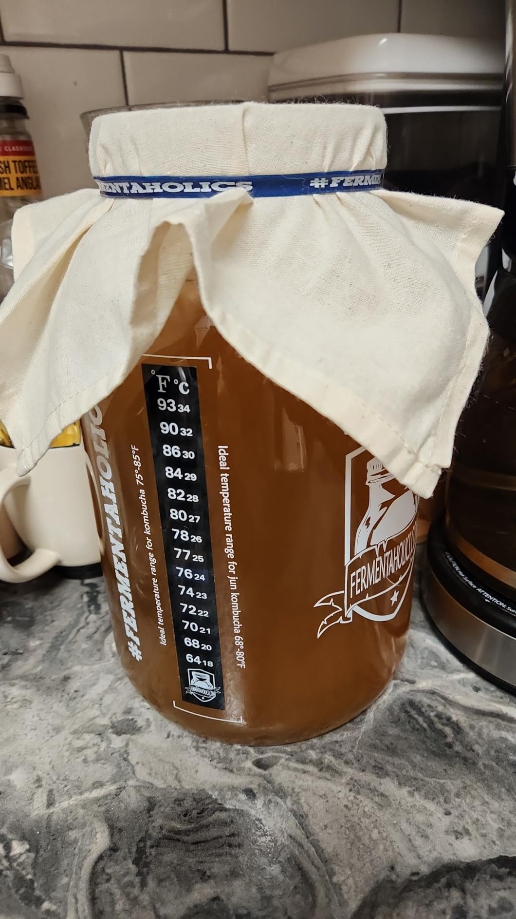 Fermentaholics Kombucha Brewing Starter Kit – USDA Certified Organic SCOBY & Tea, Complete Home Kombucha Making Kit with Culture, Kosher Certified customer photo 1