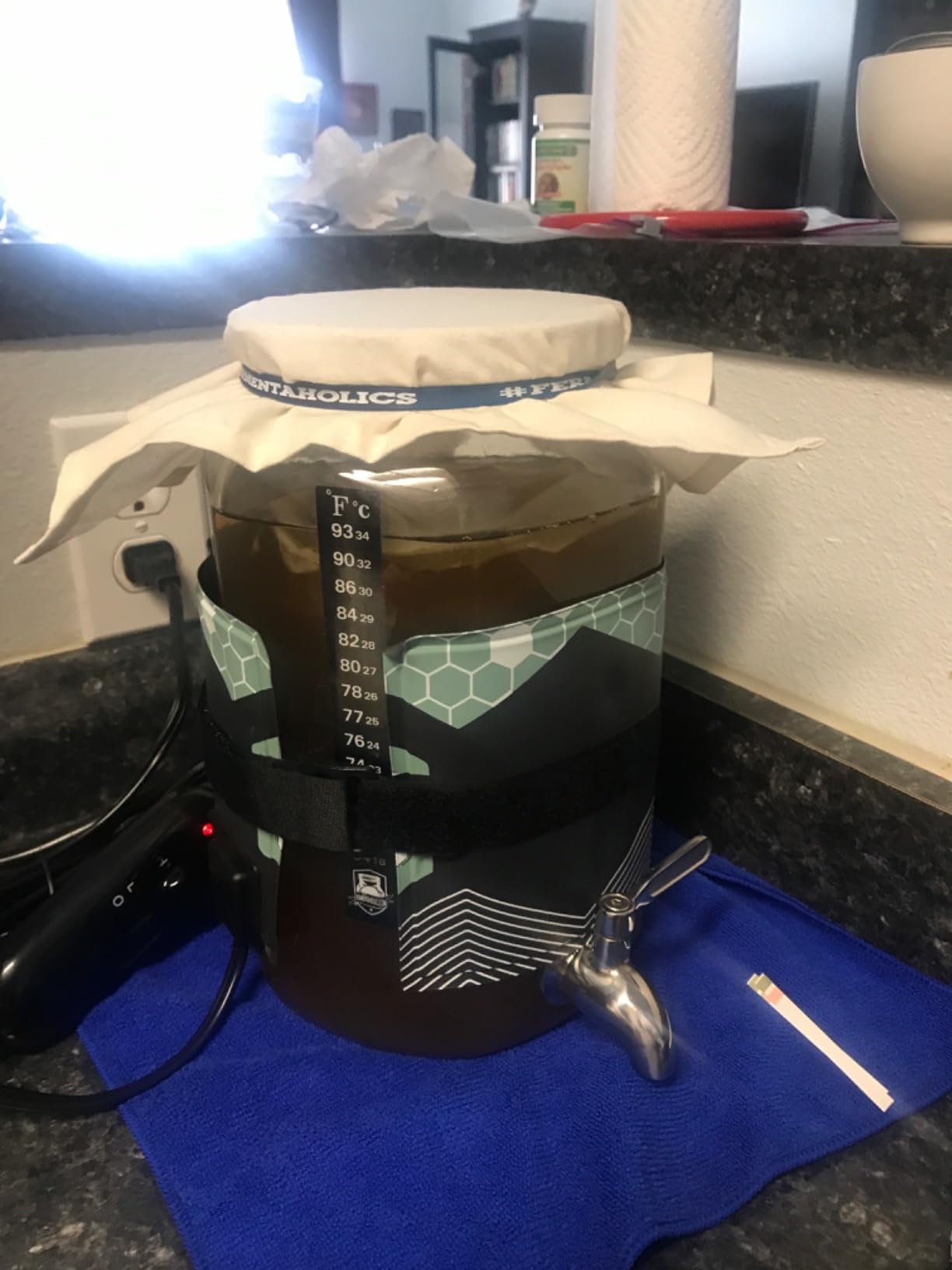 Fermentaholics Kombucha Brewing Starter Kit – USDA Certified Organic SCOBY & Tea, Complete Home Kombucha Making Kit with Culture, Kosher Certified customer photo 2