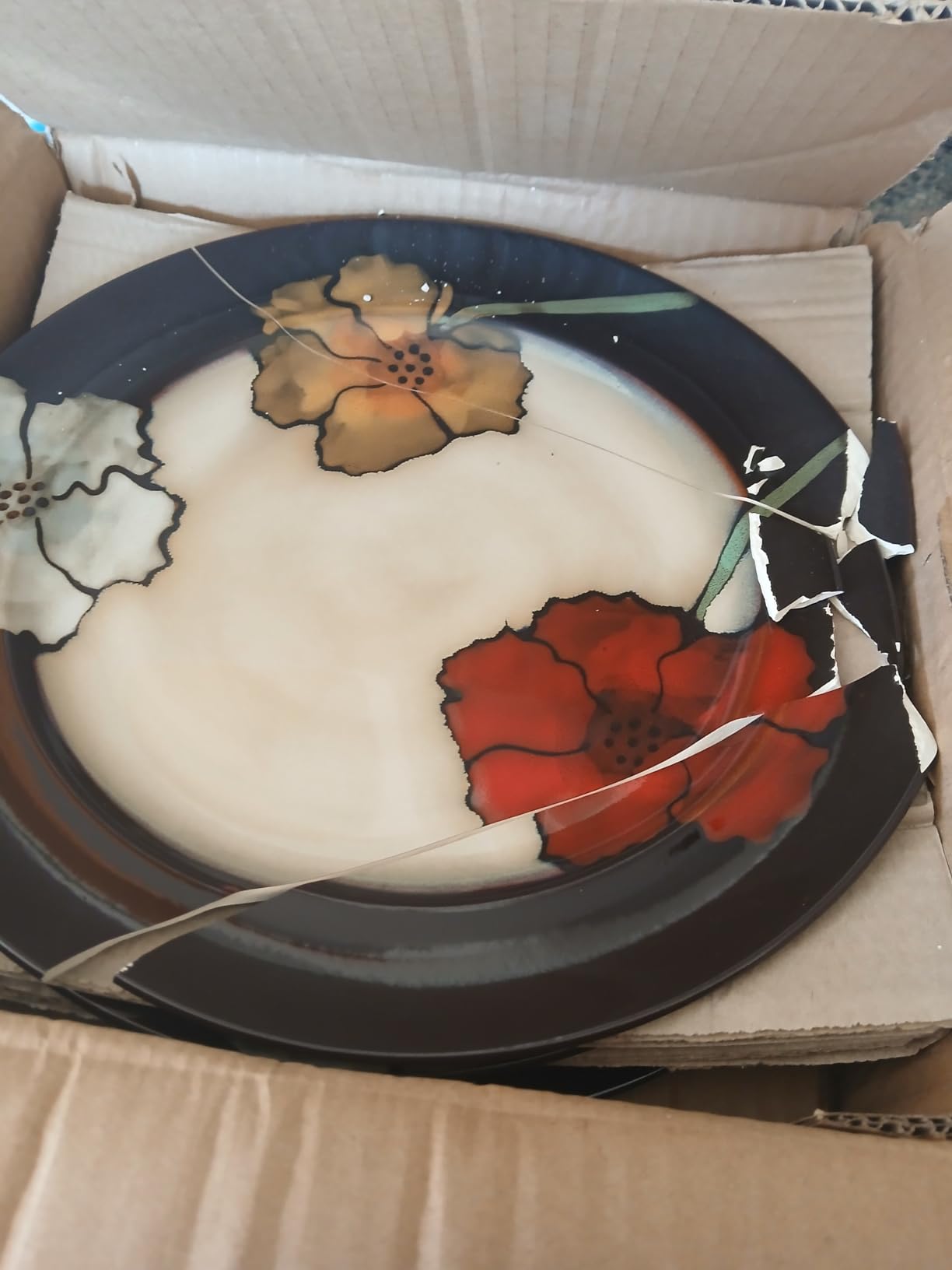 Pfaltzgraff Painted Poppies 16-Piece Stoneware Dinnerware Set, Service for 4, Dinner Plates, Salad Plates, Bowls and Mugs, Dishwasher and Microwave Safe customer photo 2