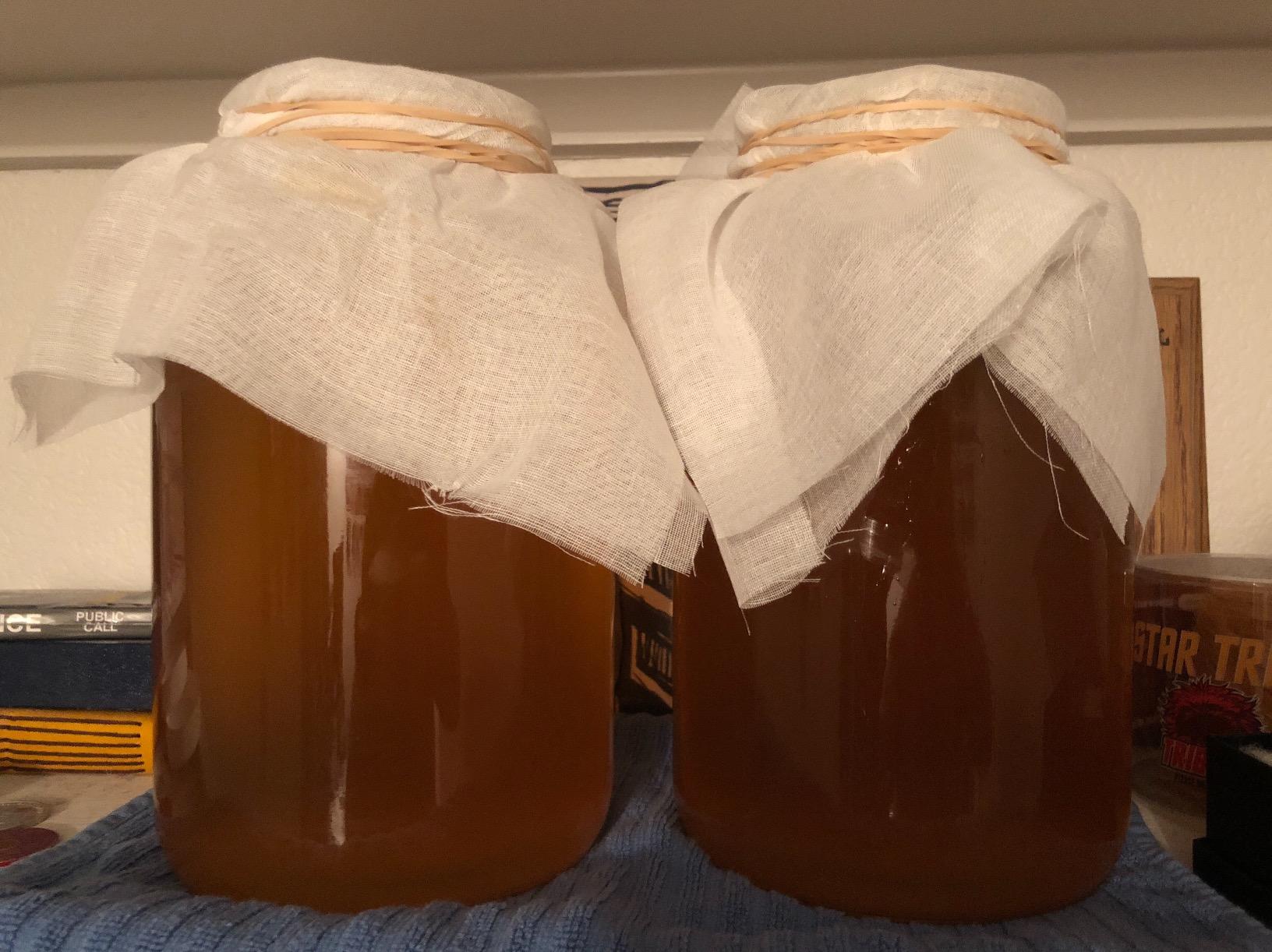 kitchentoolz 1 Gallon Glass Wide Mouth Kombucha Brewing Mason Jar - Home Brewing and Fermenting Kit with Cotton Cloth Filter, Rubber Band and Plastic Lid (1 Jar) customer photo 1