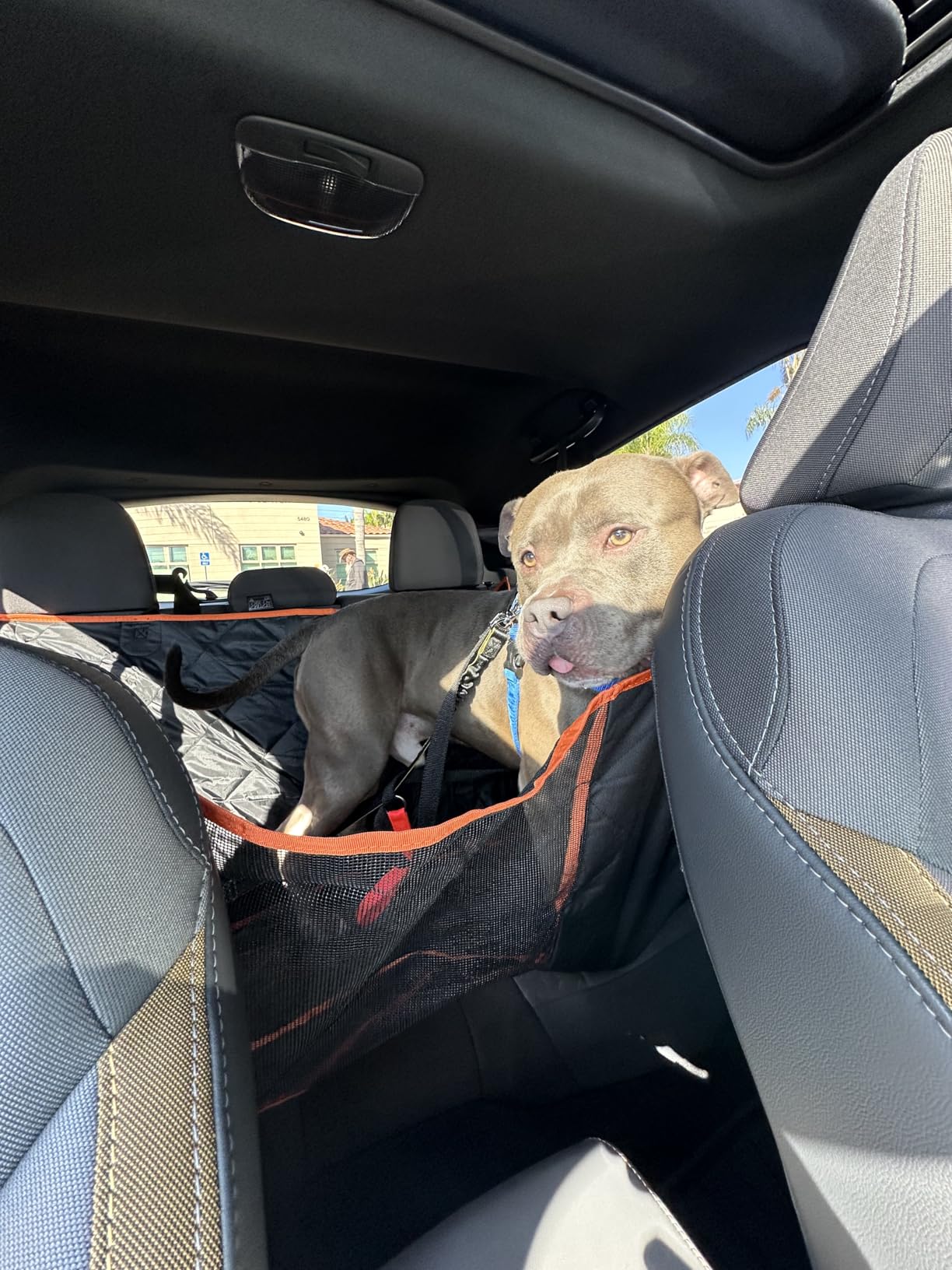 Luxury Dog Car Seat Cover for Back Seat Breathable Mesh Window Dog Hammock for Car 4-Layer Heavy Duty Waterproof Pet Seat Protector Scratch-Proof Car Seat Cover Perfect for Family Road Trips customer photo 1