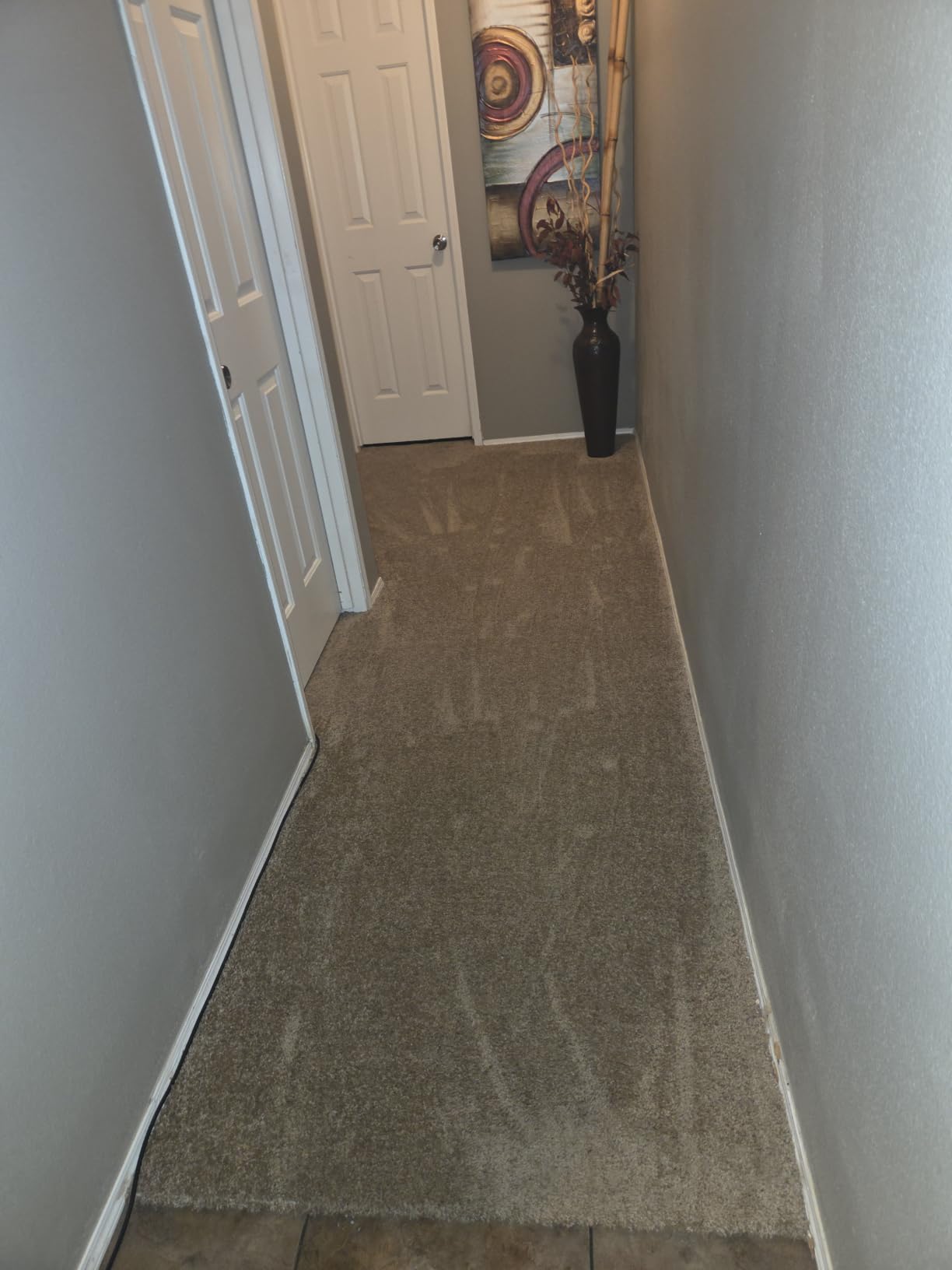 Hoover PowerDash Pet Compact Carpet Cleaner Machine, Lightweight Design customer photo 1