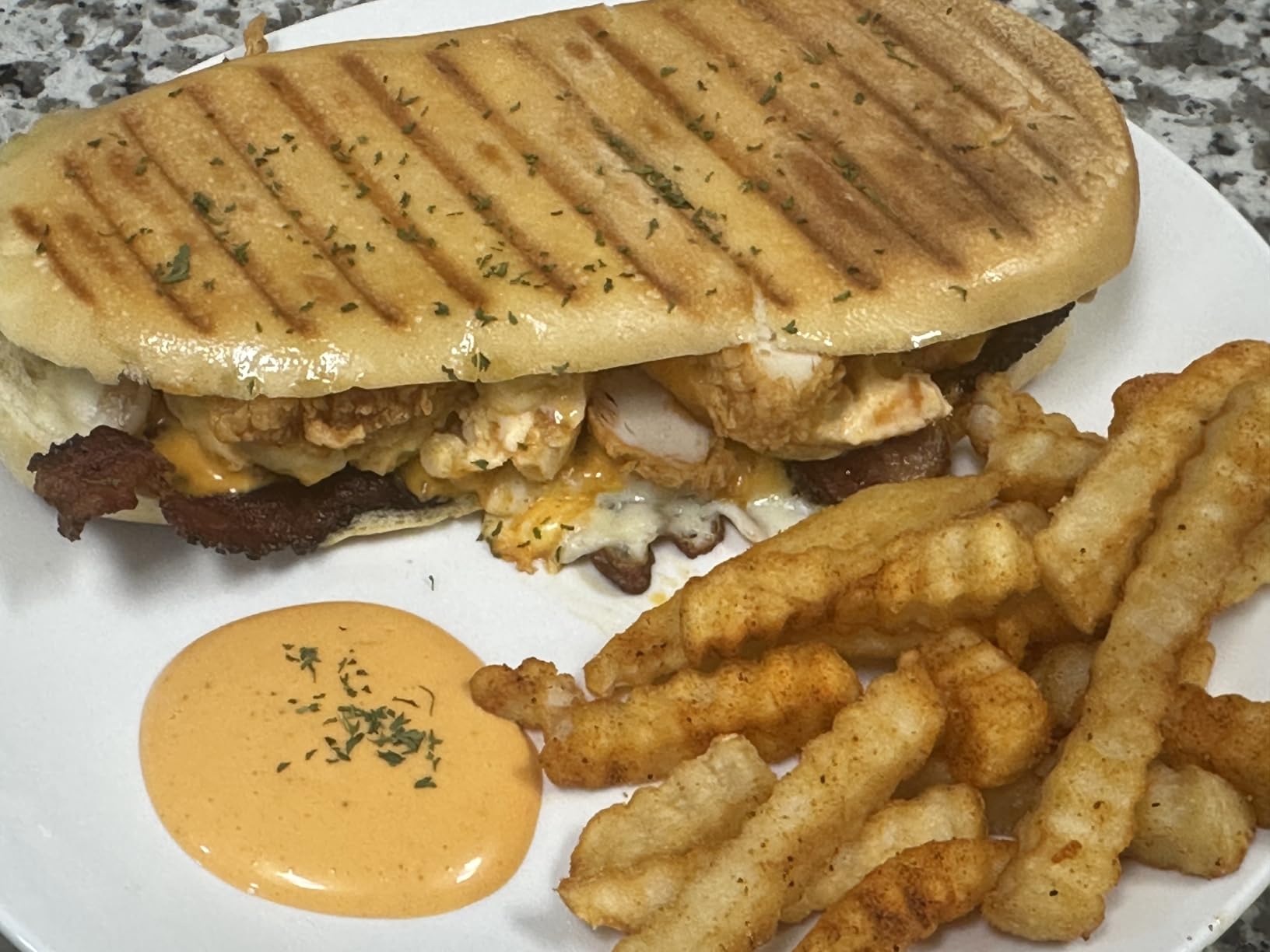 Hamilton Beach Panini Press, Sandwich Maker & Electric Indoor Grill, Stainless Steel customer photo 2