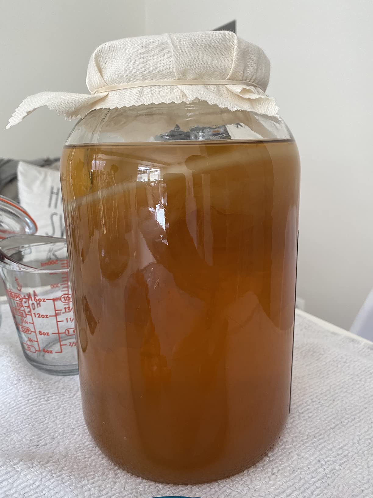 Starter Kit – Includes Organic SCOBY, Starter Liquid, 1 Gallon Glass Jar, Temp Gauge, Tea, and Sugar customer photo 1