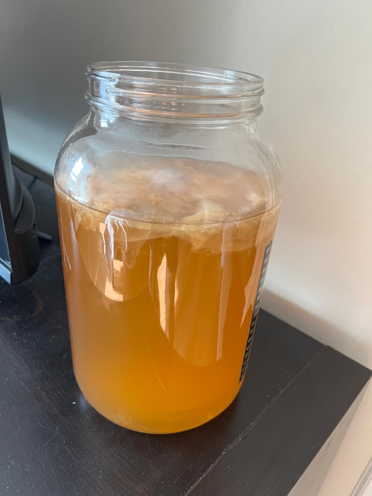 Starter Kit – Includes Organic SCOBY, Starter Liquid, 1 Gallon Glass Jar, Temp Gauge, Tea, and Sugar customer photo 2