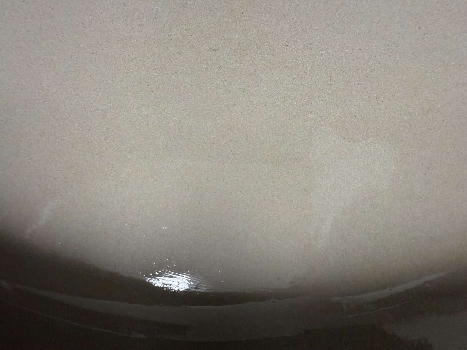 Lodge Essential Enamel Braiser - Refrigerator- & Oven-Safe up to 500° F - Heat-Retaining, Induction-Safe & PFAS-Free Enamel Cookware - 3.6 Quart, Oyster White customer photo 2