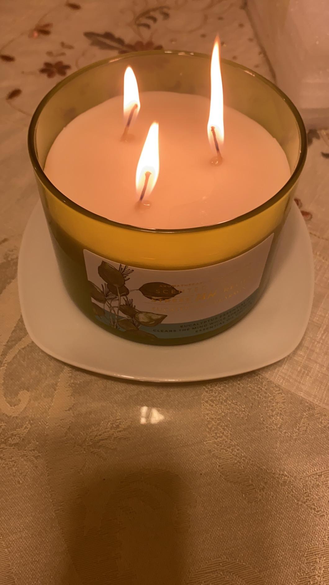 Eucalyptus Spearmint Scented Candle, 15.8 oz Large 3 Wick Soy Candle | Fresh Mint Spa Home Fragrance, Soothing Aromatherapy Candle, For Bathrooms, Living Rooms & Bedrooms, Relaxation & Yoga Gift customer photo 2