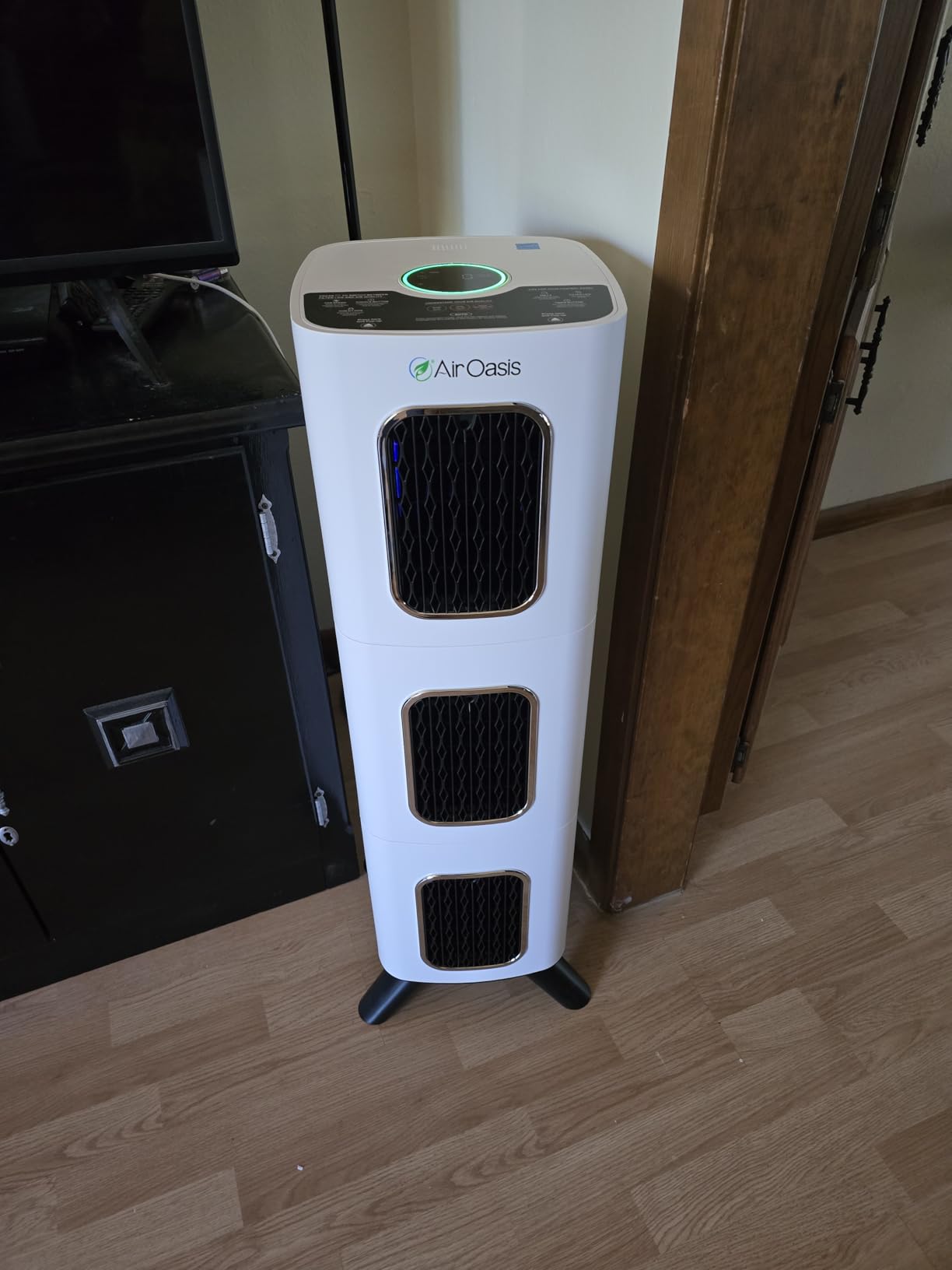 Air Oasis iAdaptAir 2.0 H13 HEPA Filter Air Purifier Reduces 99% of Viruses, Mold, Dust, Smoke, Pollen & Odors Quietest on The Market WiFi Compatible 1,325 Sq Ft of Clean Air customer photo 2