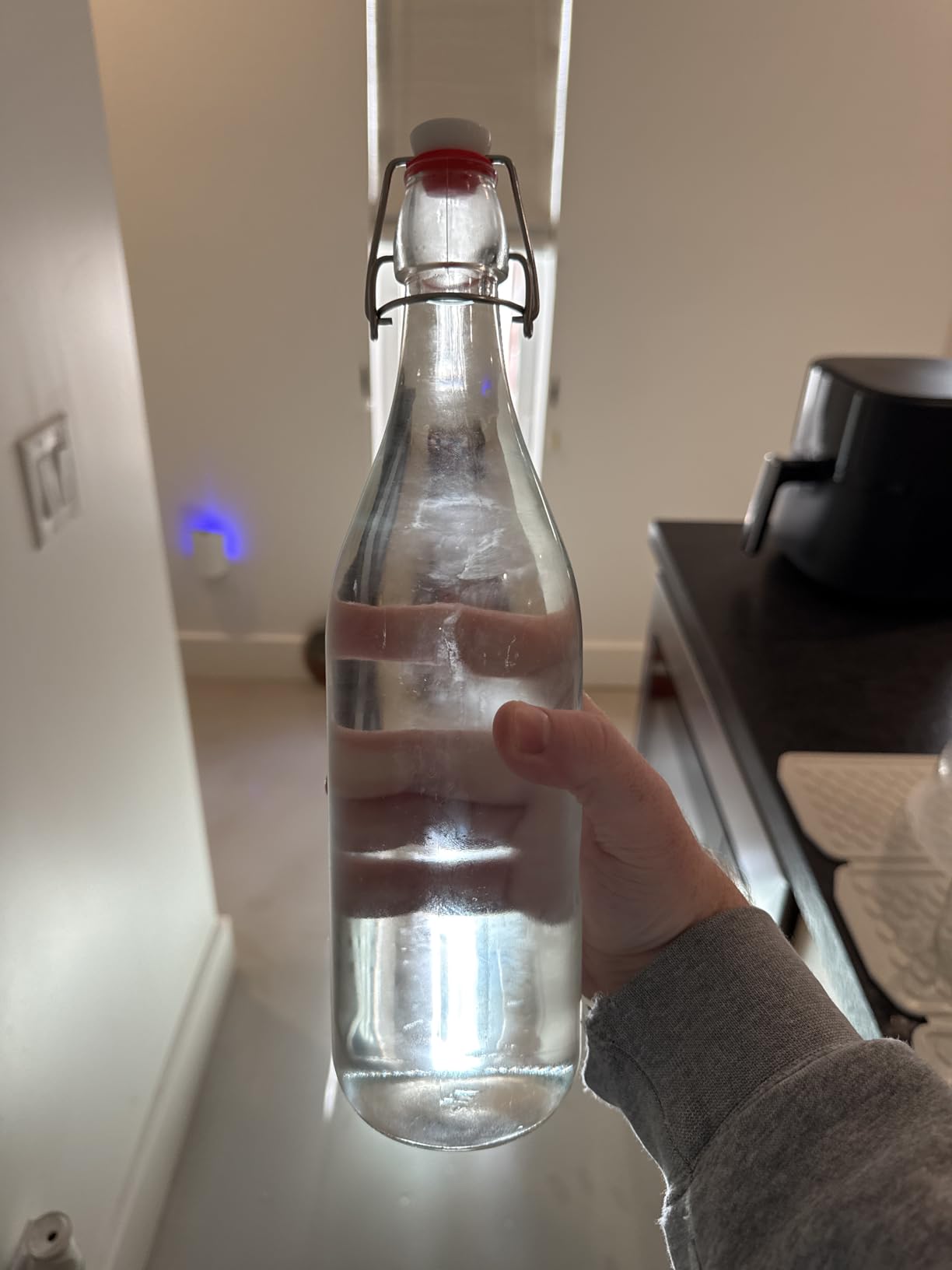 Flip Top Glass Bottle [1 Liter / 33 fl. oz.] [Pack of 6] – Swing Brewing with Stopper for Beverages, Oil, Vinegar, Kombucha, Beer, Water, Soda, Kefir Airtight Lid & Leak Proof Cap Clear customer photo 1
