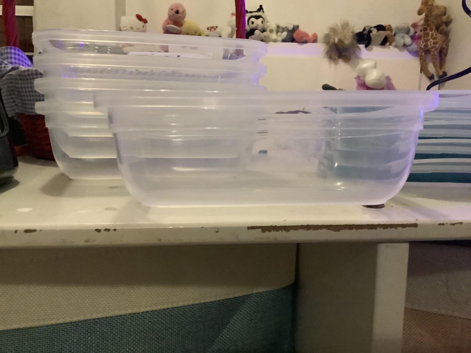Snapware Plastic Total Solution (5-Pack, 3-Cup) Food Storage Containers Set customer photo 1
