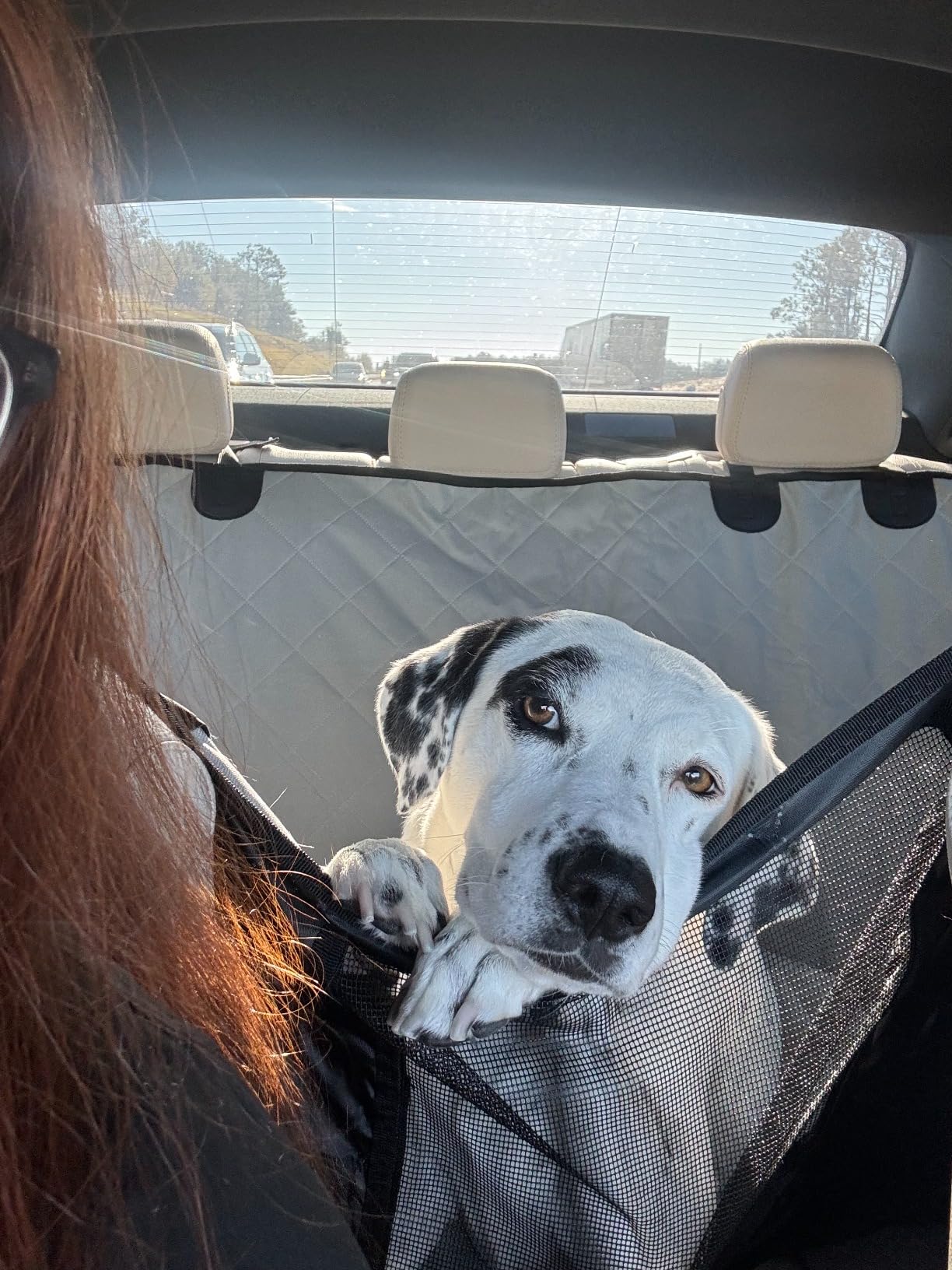 Kytely Dog Car Seat Cover for Back Seat, Waterproof Hammock for Car&SUV customer photo 2