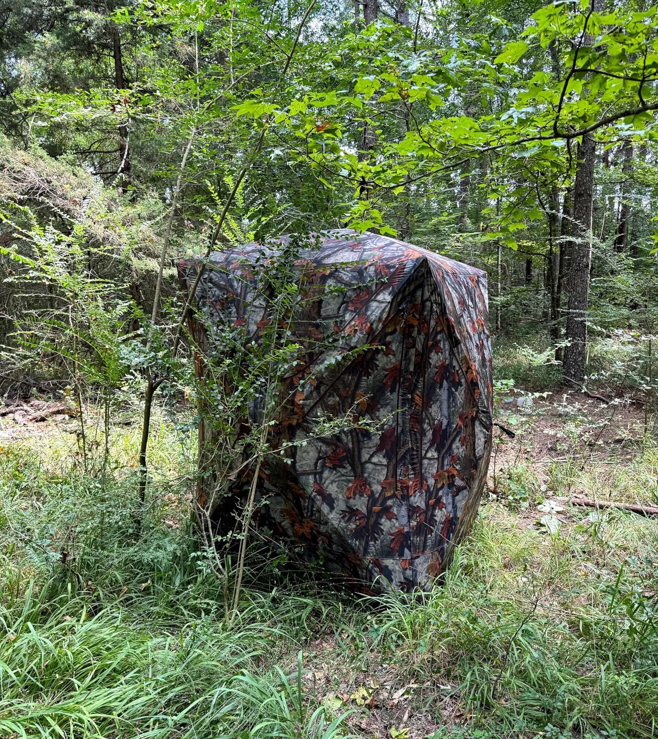 Barronett Blinds Prowler 300, Portable Hunting Blind, Tall Hub Blind, Shoot While Standing, Lightweight, 2-Person, Bloodtrail Woodland, 80” x 75” x 75”, PR300BT customer photo 1