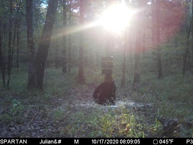 Barronett Blinds Prowler 300, Portable Hunting Blind, Tall Hub Blind, Shoot While Standing, Lightweight, 2-Person, Bloodtrail Woodland, 80” x 75” x 75”, PR300BT customer photo 2