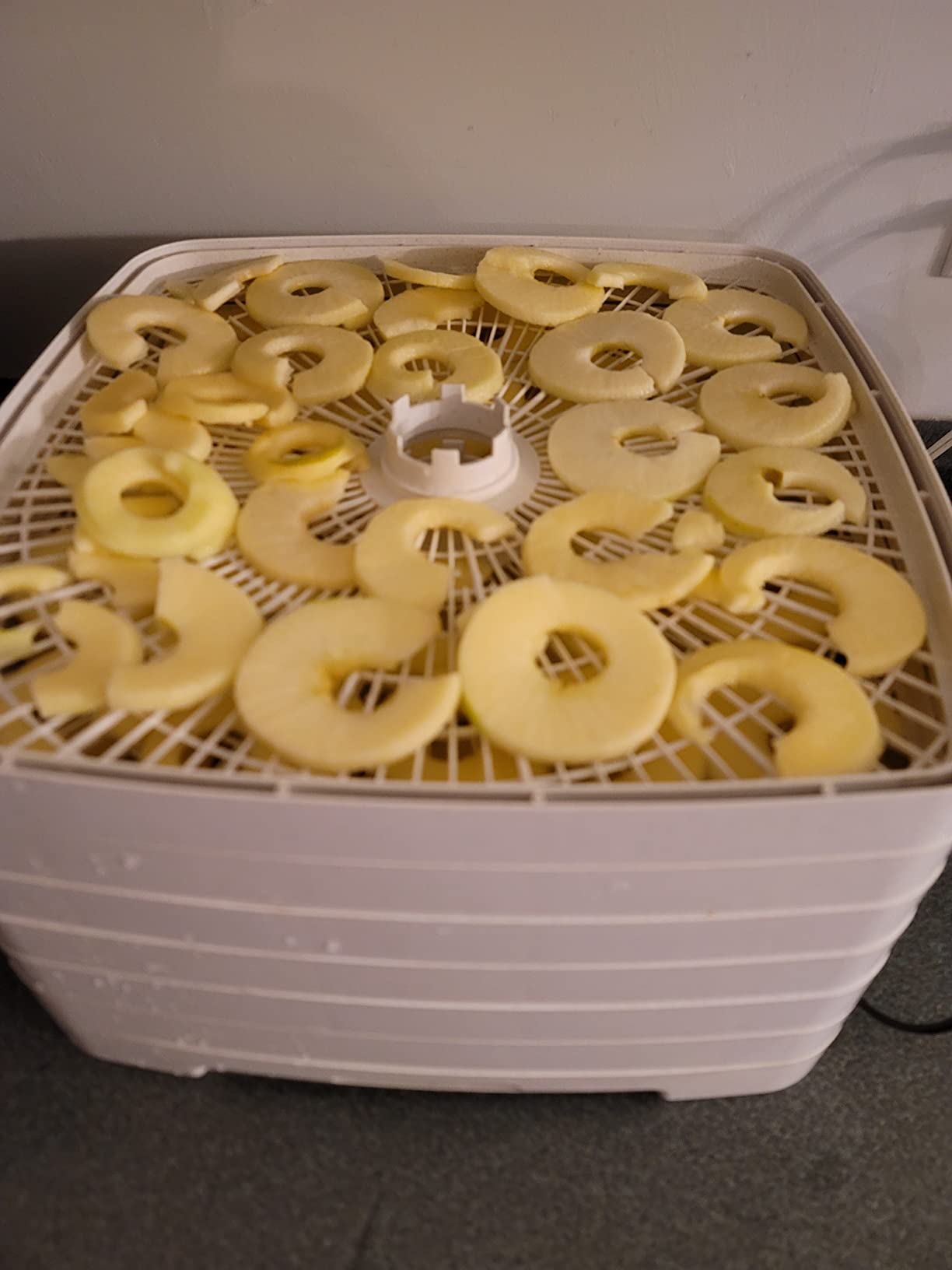 Apple Peeler and Corer, Durable Heavy Duty Chrome Cast Iron, Suction Base customer photo 2