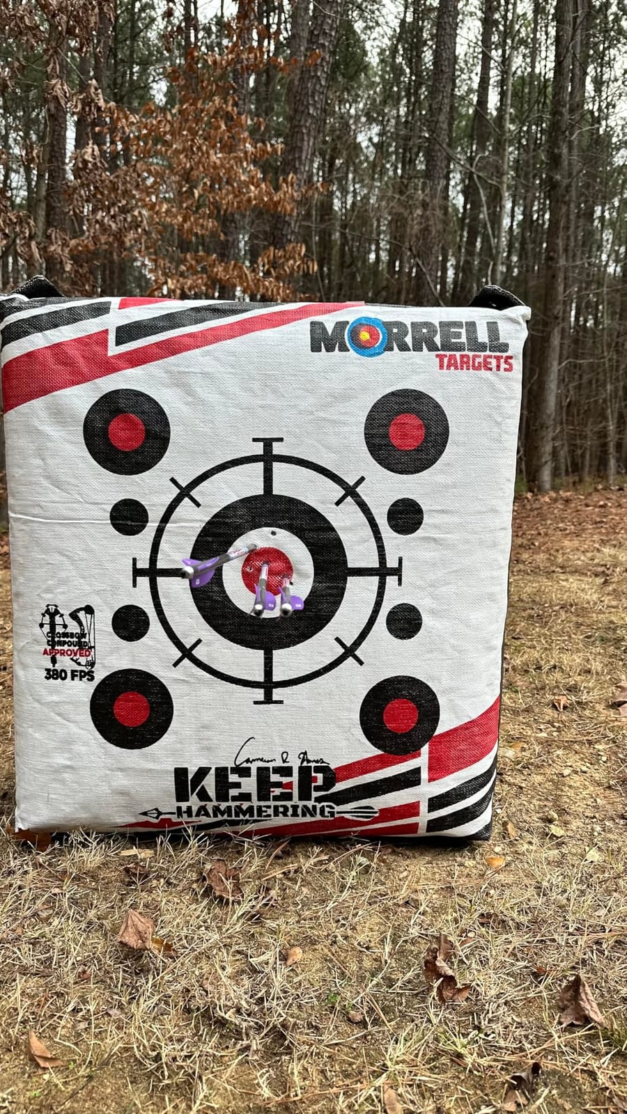MorrellVital Signs Combo 2 Field Point/Broadhead Combo Target customer photo 2