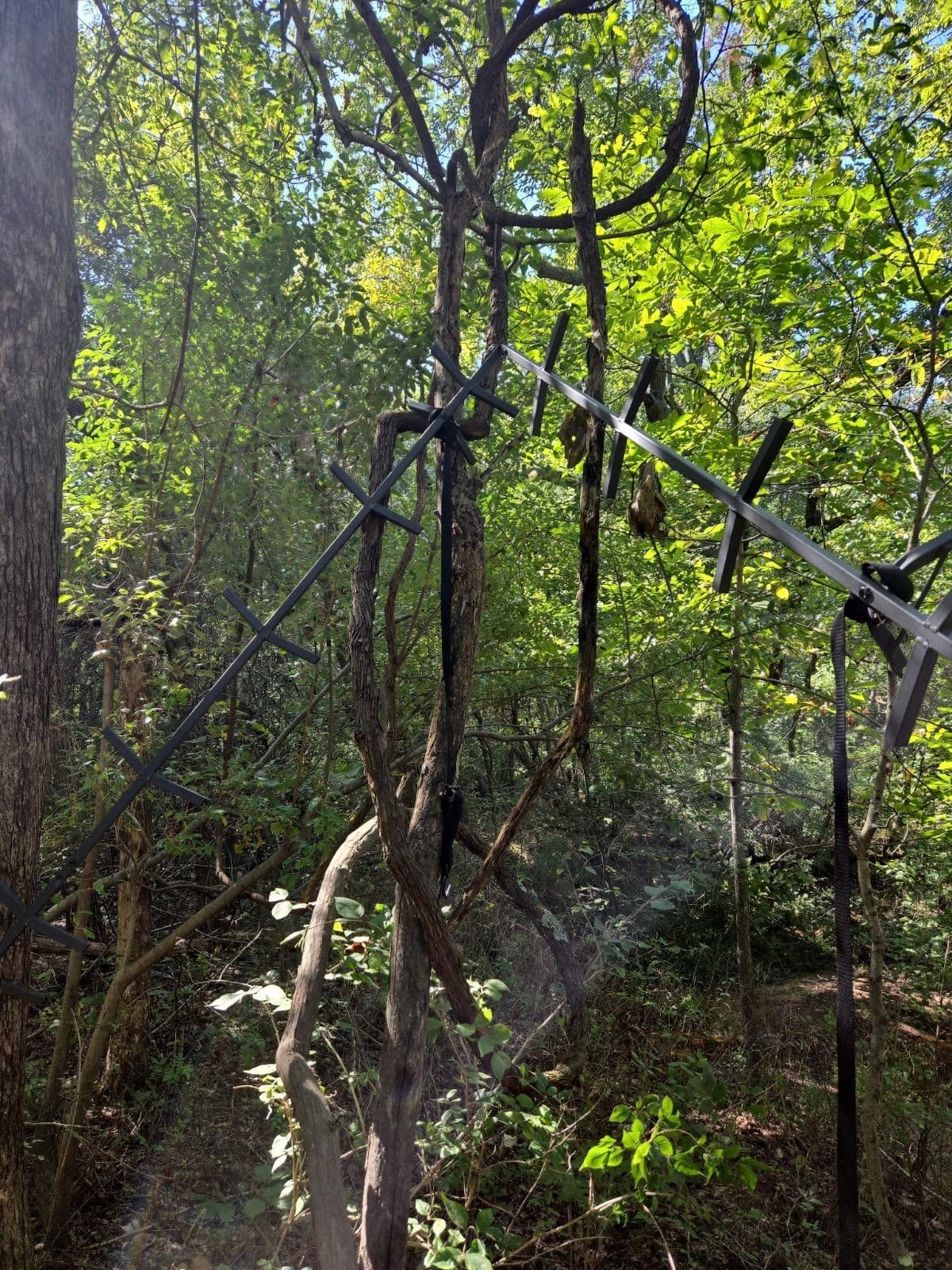 Guide Gear Full Step Climbing Stick Ladder for Tree Stands, Deer Hunting Gear and Accessories, Full Step, 25’ customer photo 1