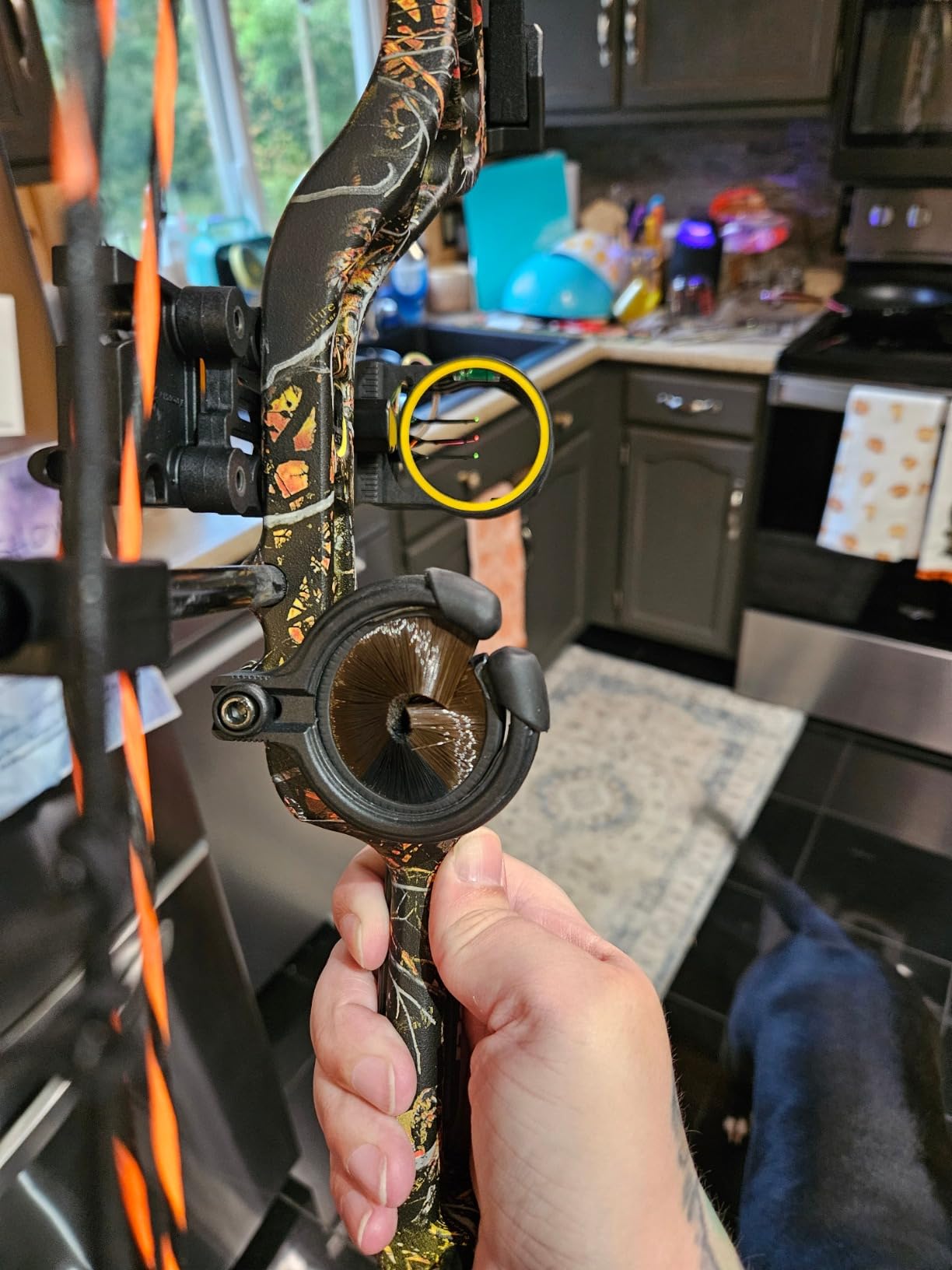 Bear Archery Royale Ready to Hunt Compound Bow Archery Set with Archery Accessories for Adults and Youths, 12”- 27” Draw Length, 5-50 Lbs Draw Weight, Up to 290 FPS customer photo 1