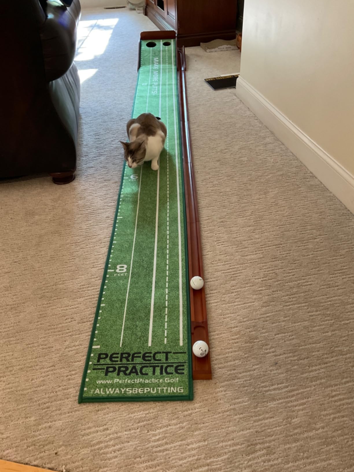 Perfect Practice Standard 9' Putting Mat - Indoor Putting Green customer photo 1
