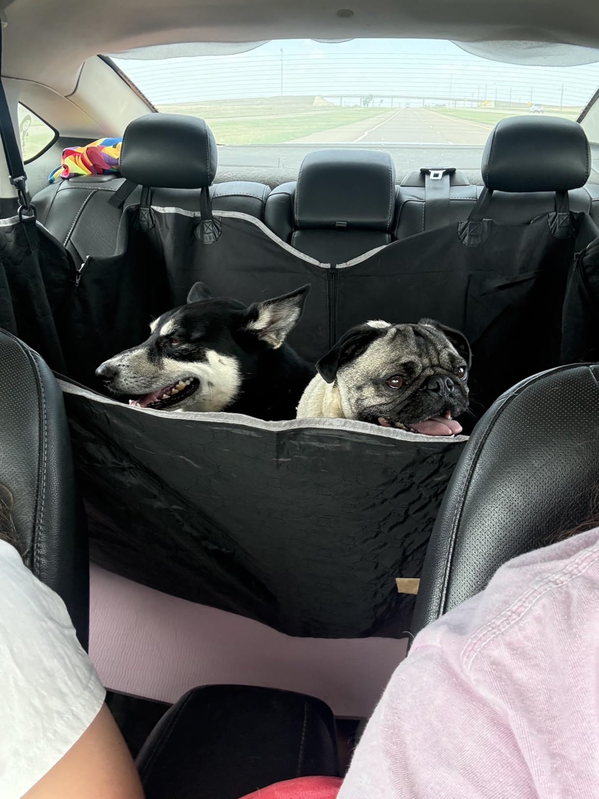 Mancro Dog Car Seat Cover for Back Seat, Waterproof Dog Hammock for Car customer photo 1