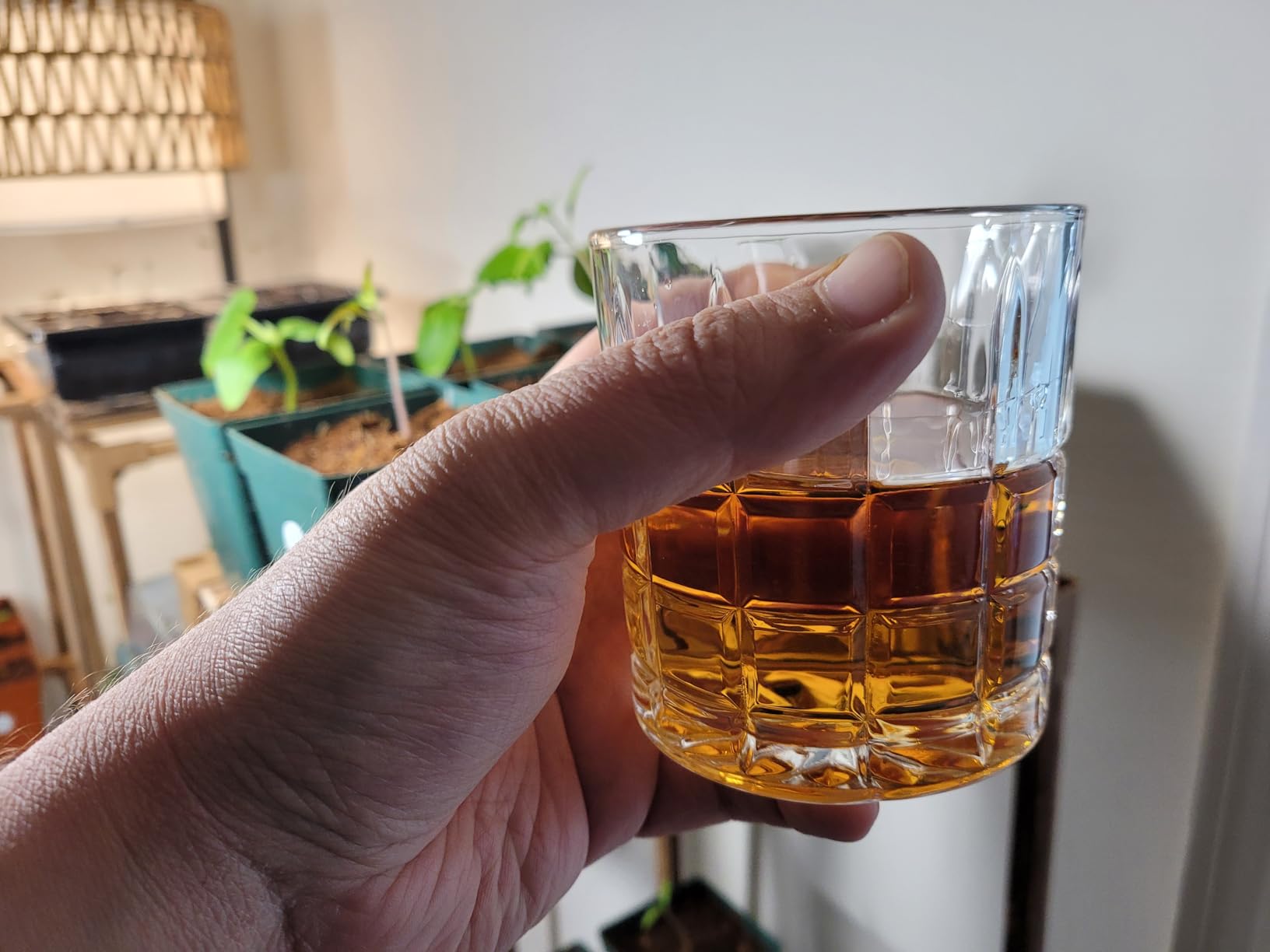DeeCoo Premium 10, 11 OZ Scotch Glasses - Old Fashioned Whiskey Glasses/Style Glassware for Bourbon/Rum/Bar Tumbler Set of 6 customer photo 2