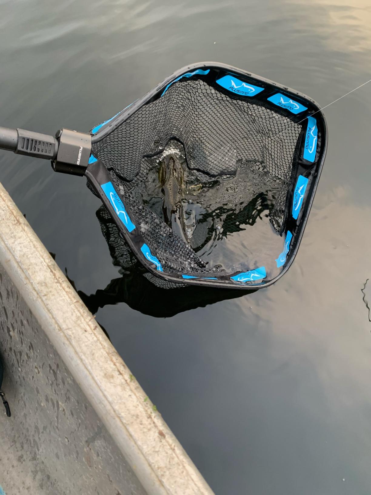 PLUSINNO Floating Fishing Net for Steelhead, Salmon, Fly, Kayak, Catfish, Bass, Trout Fishing, Rubber Coated Foldable Landing Net with Fixed or Telescoping Pole Handle, Fishing Gear and Gifts for Men customer photo 1
