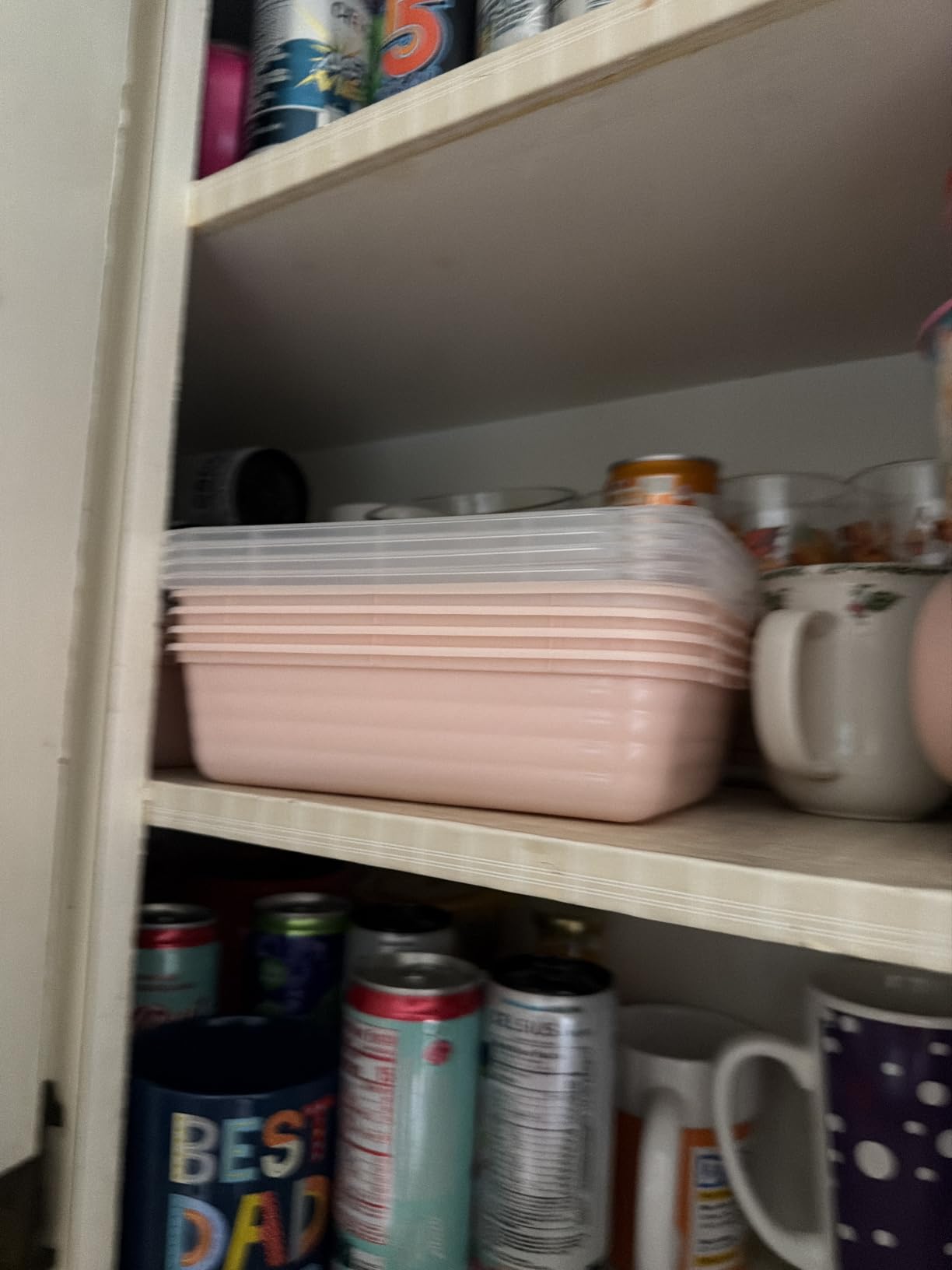 Bentgo Prep Meal Prep Containers with Lids, 20 Piece, PFAS & BPA-Free customer photo 1
