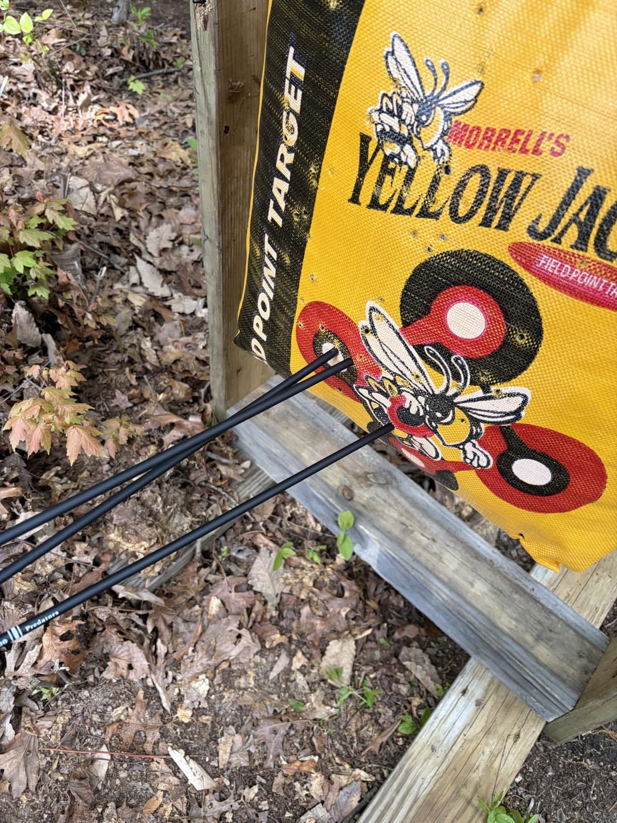 Sanlida Archery Dragon X8 RTH Compound Bow Package for Adults and Teens,18”-31” Draw Length,0-70 Lbs Draw Weight,up to IBO 310 fps,No Bow Press Needed,Limited Life-time Warranty,RH Only customer photo 1