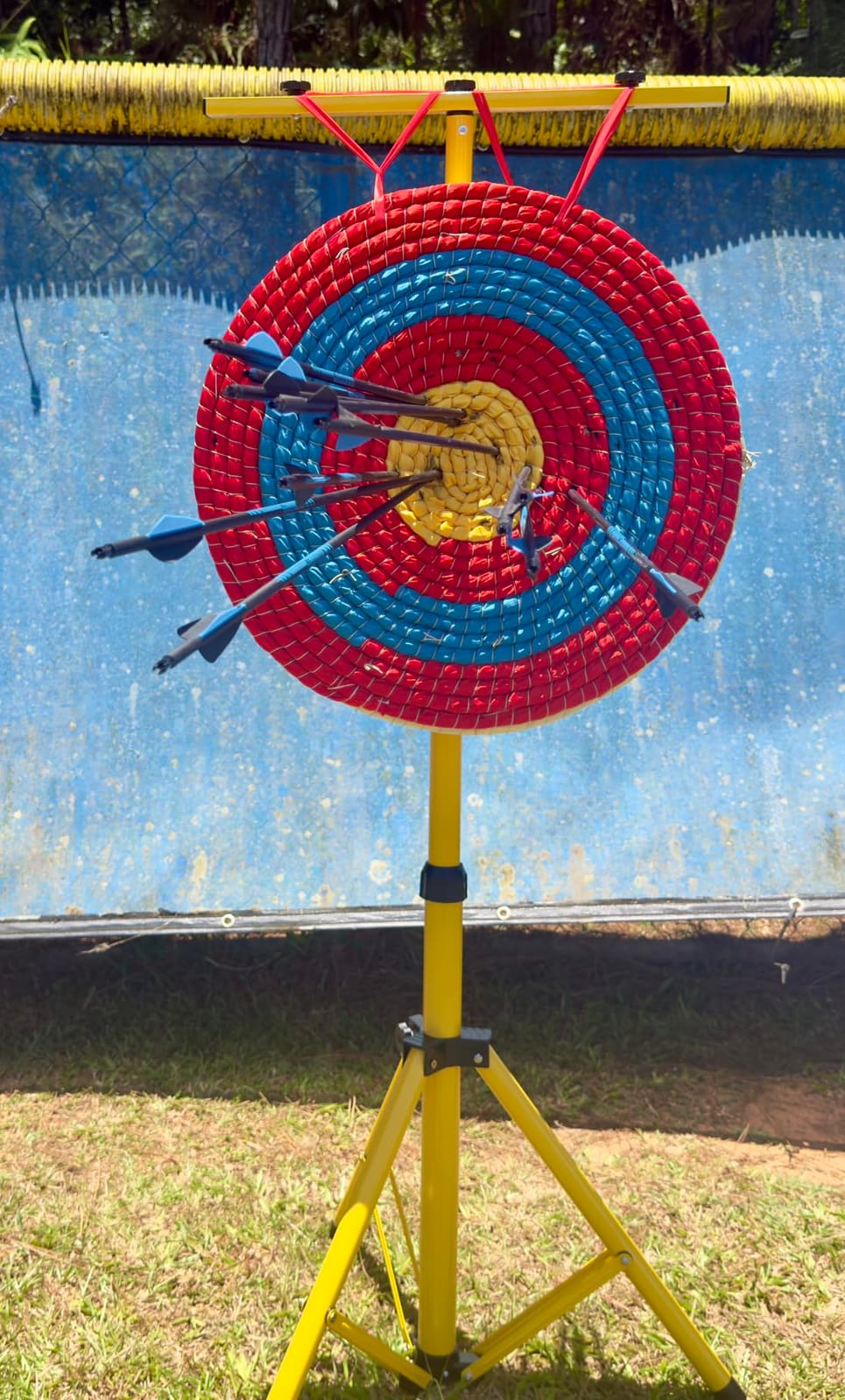 Sanlida Archery Dragon X8 RTH Compound Bow Package for Adults and Teens,18”-31” Draw Length,0-70 Lbs Draw Weight,up to IBO 310 fps,No Bow Press Needed,Limited Life-time Warranty,RH Only customer photo 2