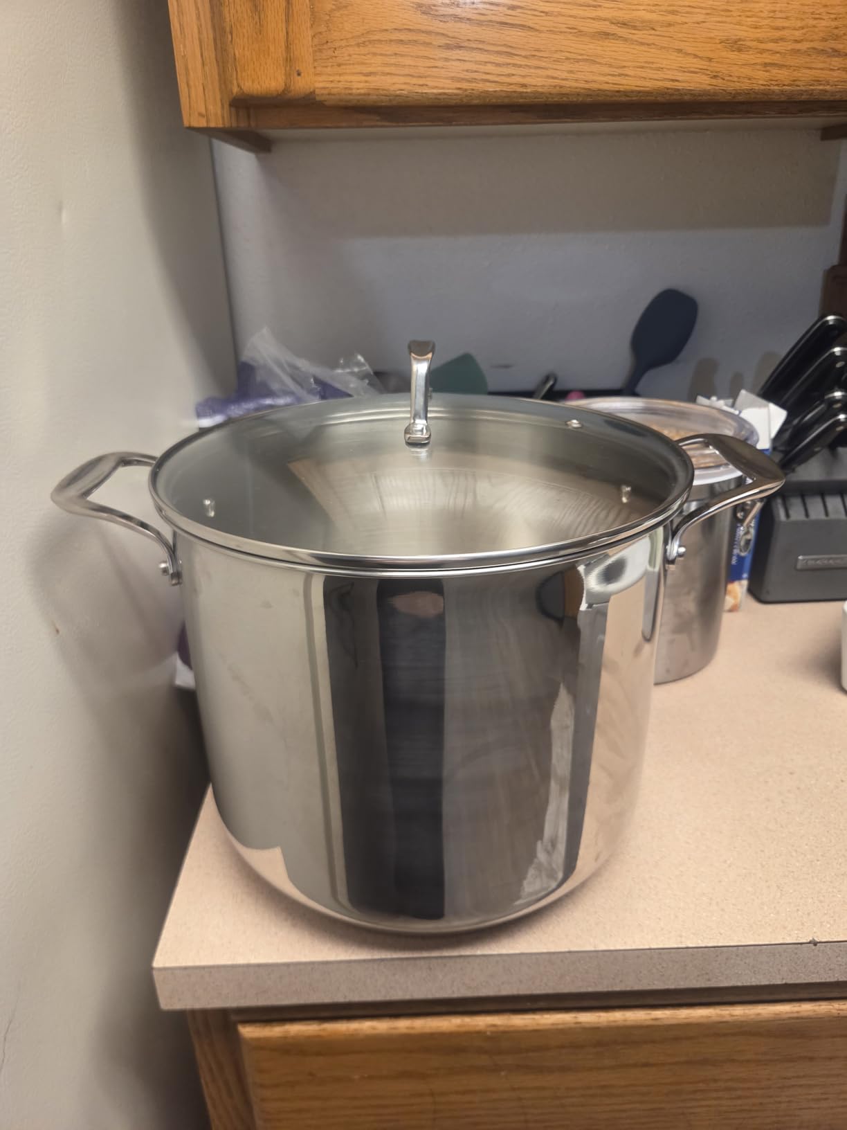 NutriChef 12-Quart Stainless Steel Stockpot – 18/8 Food Grade Heavy-Duty Induction-Compatible Pot with See-Through Lid, Ideal for Stews, Broths, Simmering & Soups, Dishwasher Safe – NCSP12 customer photo 2