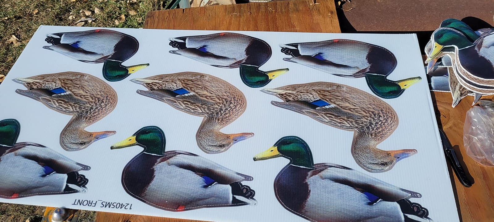 TCDesignerProducts 2D Wildlife Silhouette Decoys, Photo-Realistic Hunting Decoys for Snow Geese, Coyotes, Whitetail Bucks & Does, Mallards, Turkeys, Canadian Geese – Motion & Easy Setup customer photo 2